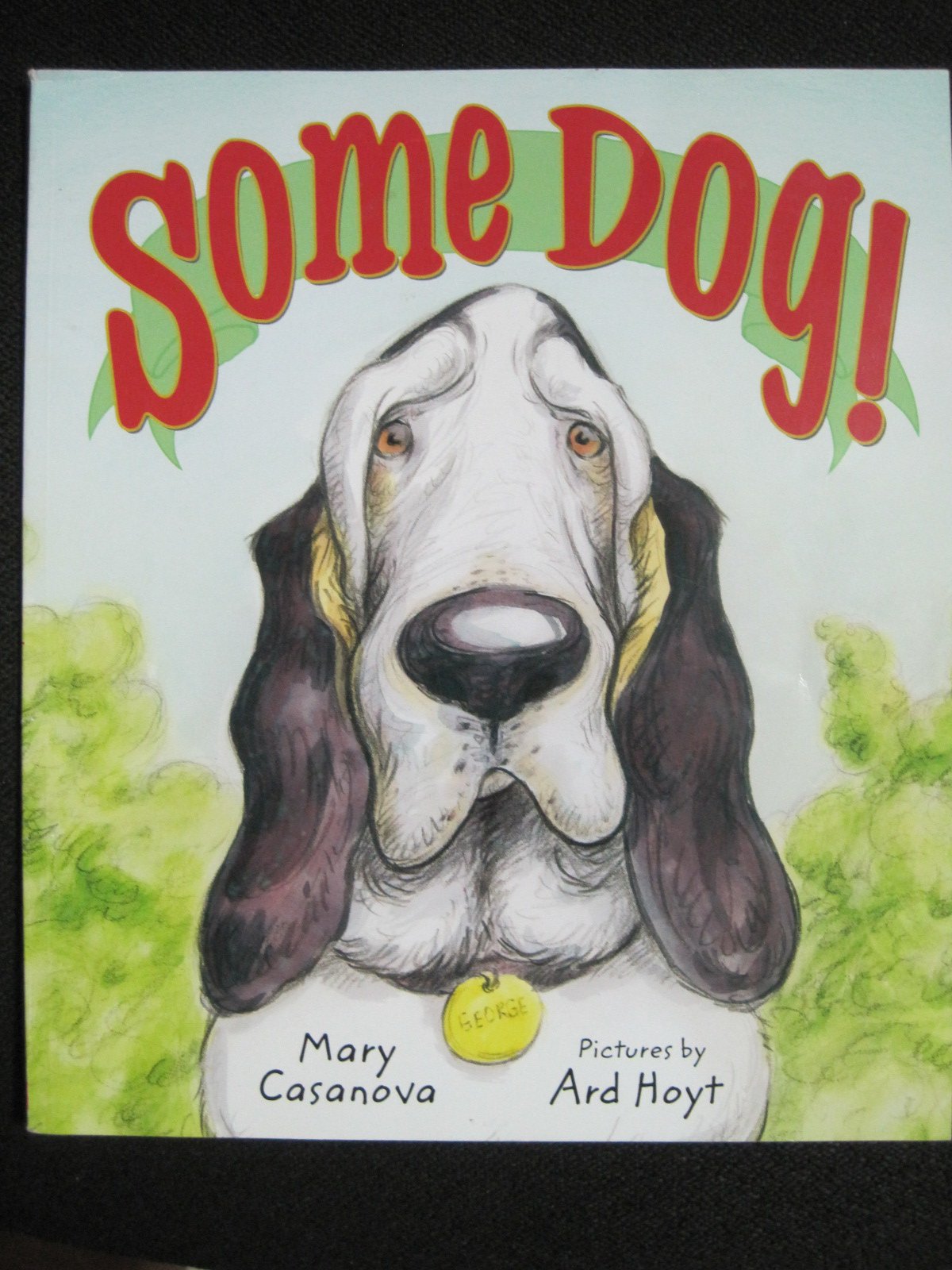 Some Dog! used book depot