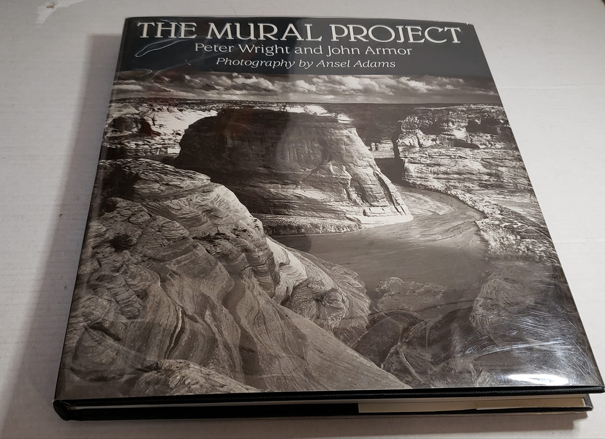 The Mural Project: Photography by Ansel Adams used book depot