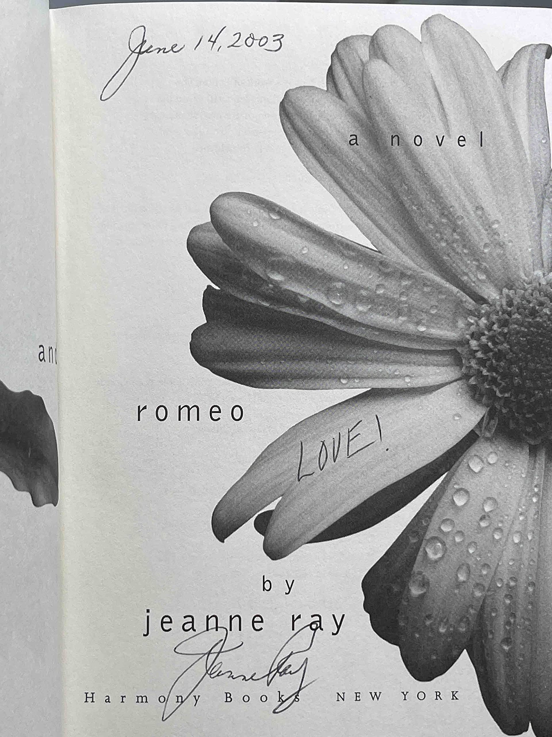 Julie and Romeo: A Novel used book depot