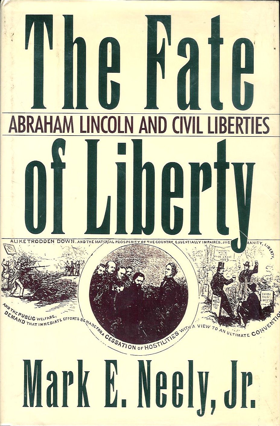 The Fate of Liberty: Abraham Lincoln and Civil Liberties used book depot
