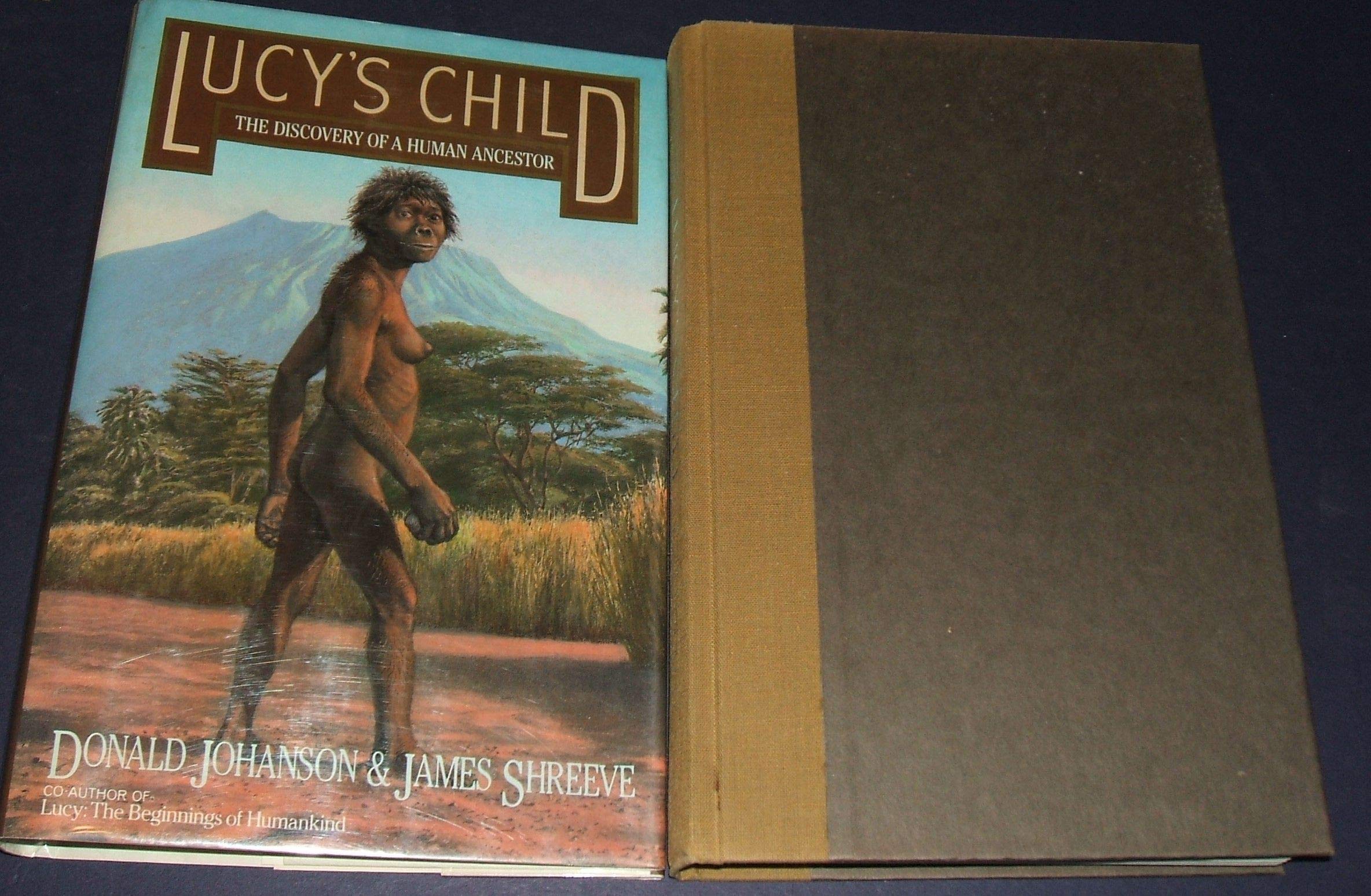 Lucy's Child: The Discovery of a Human Ancestor used book depot