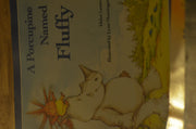 A Porcupine Named Fluffy used book depot