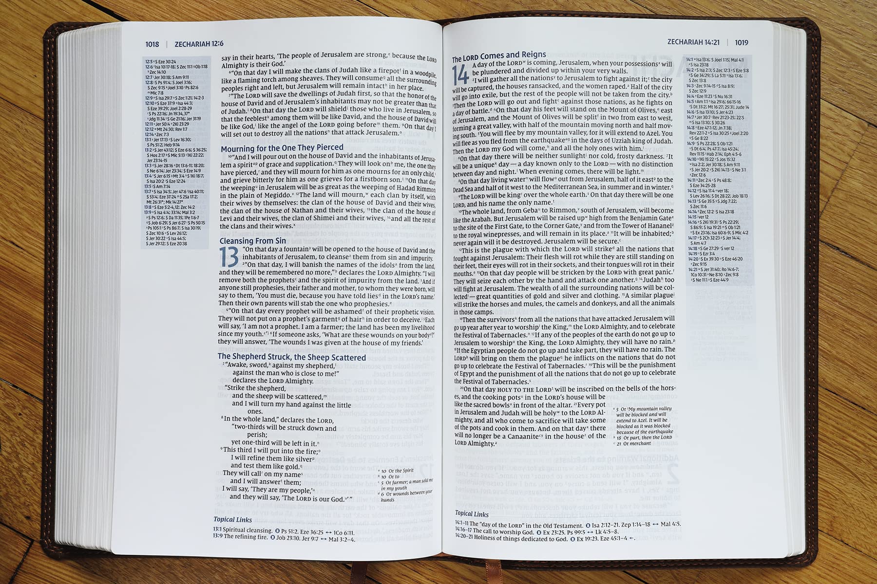 NIV, Reference Bible, Deluxe Single-Column (A Bible with 100,000 Cross-References), Leathersoft, Brown, Comfort Print used book depot