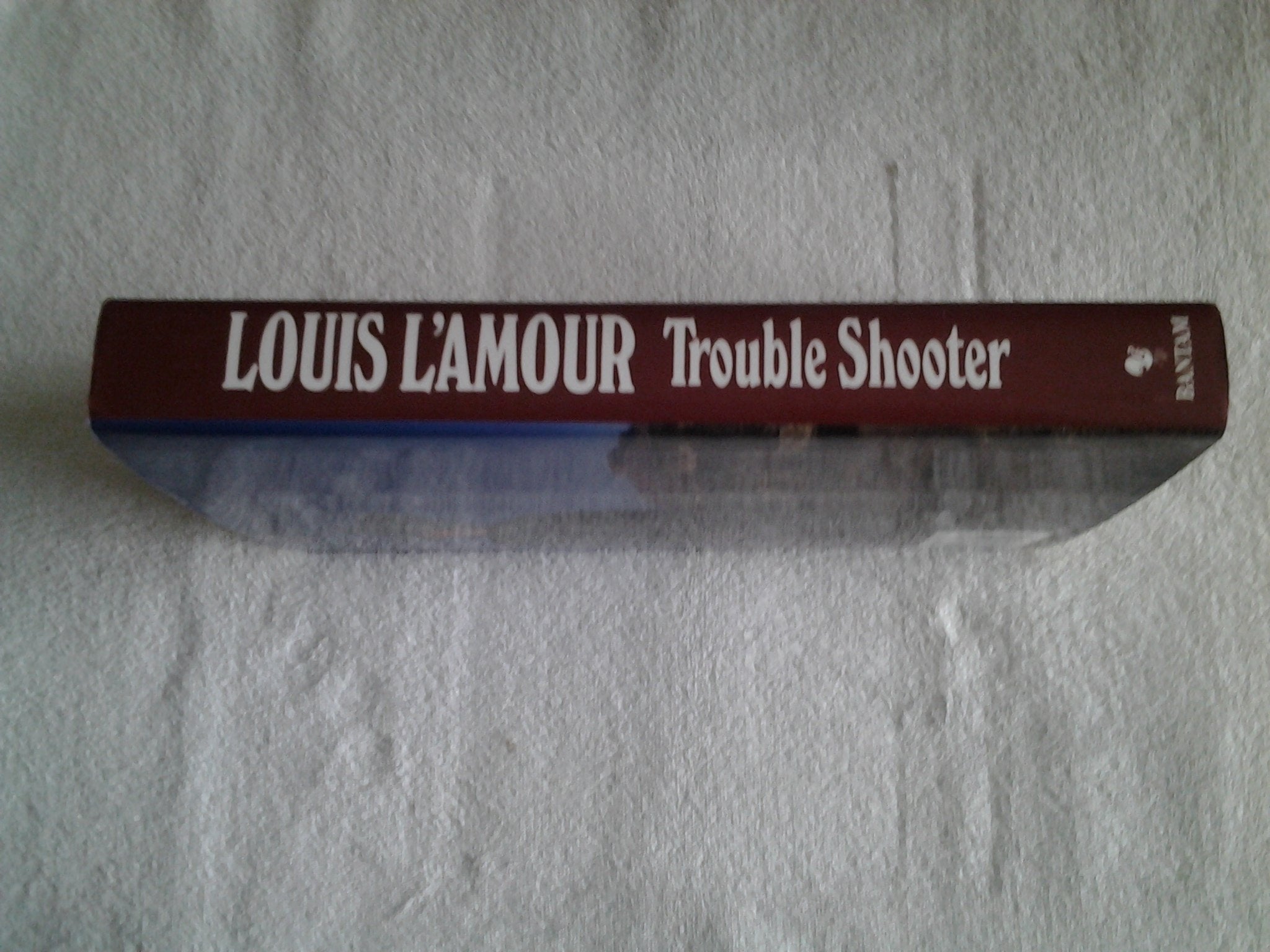 Trouble Shooter used book depot