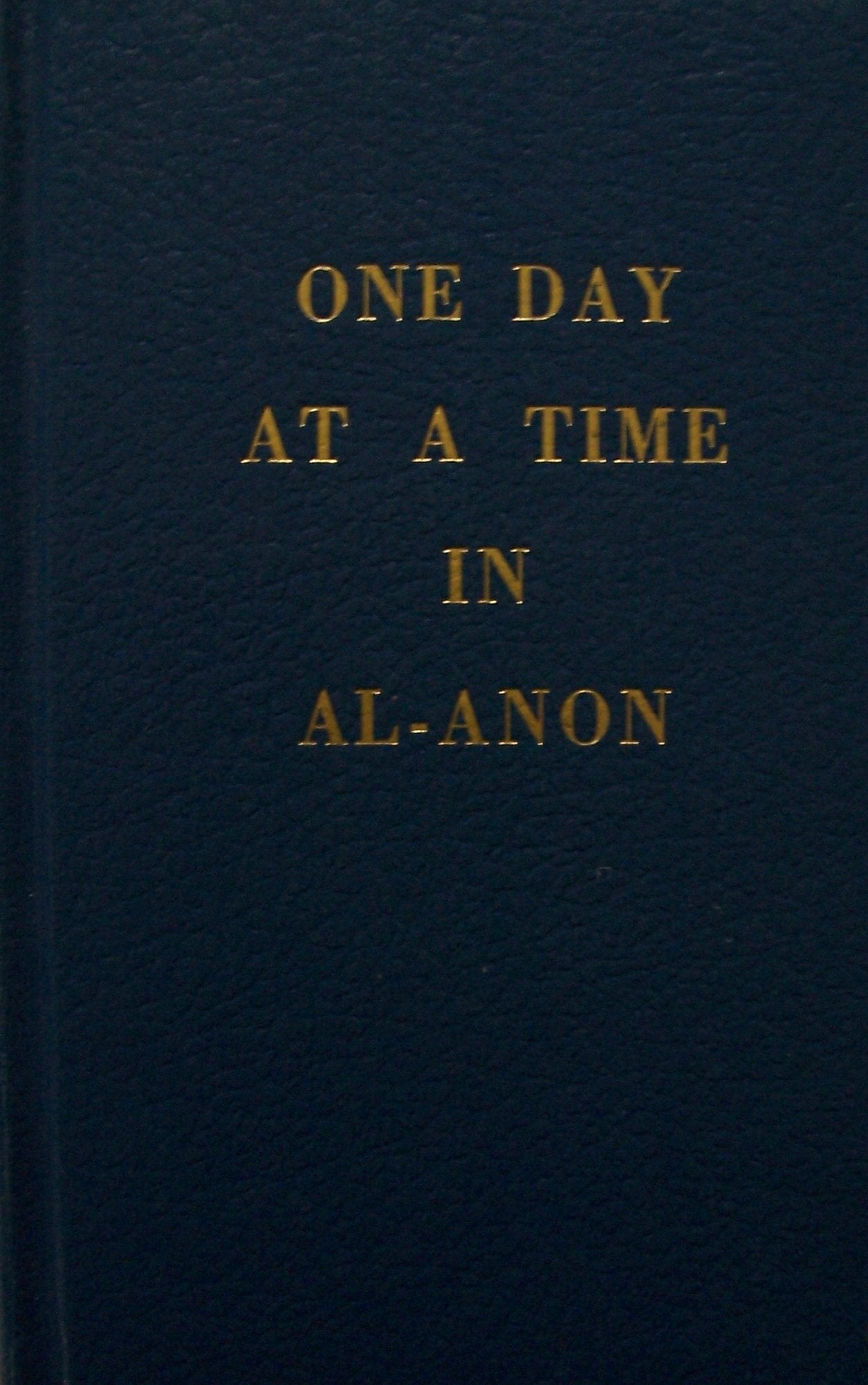 One Day at a Time in Al-Anon