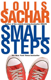 Small Steps (Holes Series) used book depot