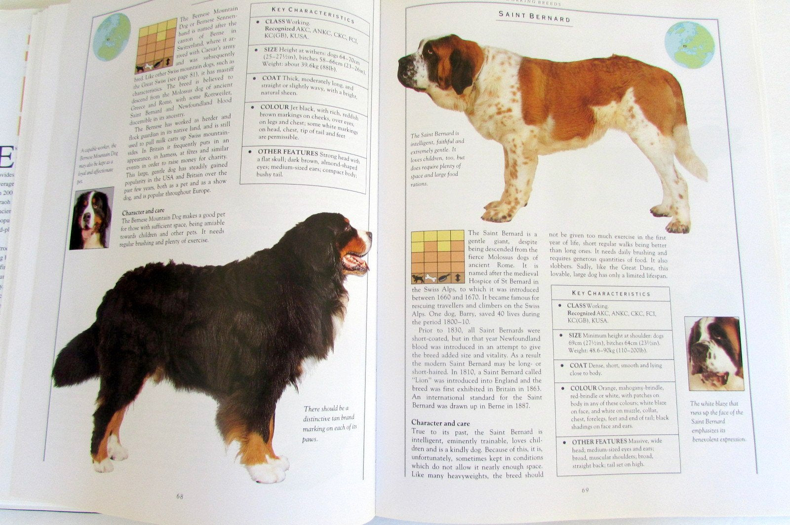 The Illustrated Encyclopedia of Dog Breeds used book depot