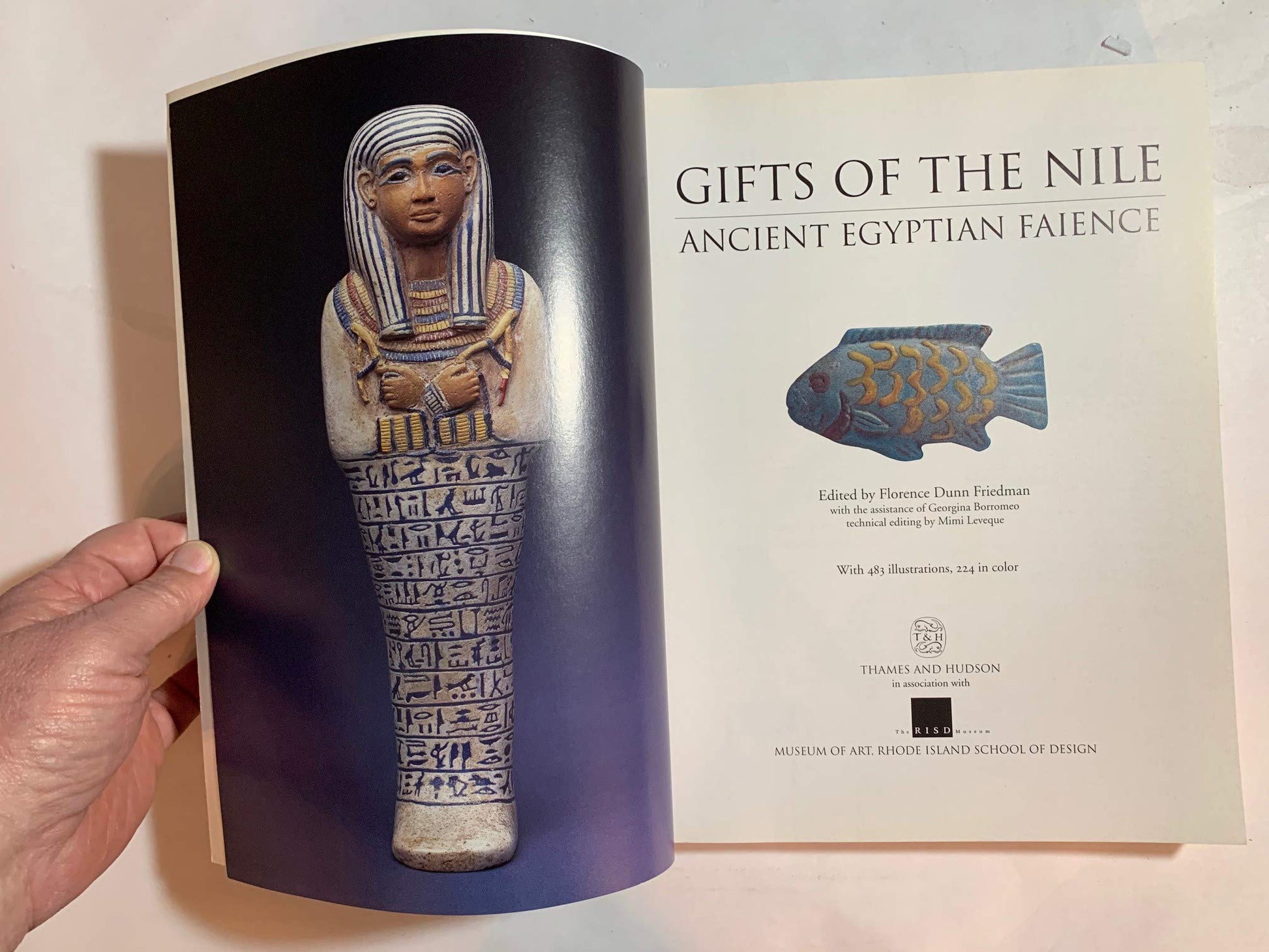 Gifts of the Nile: Ancient Egyptian Faience used book depot