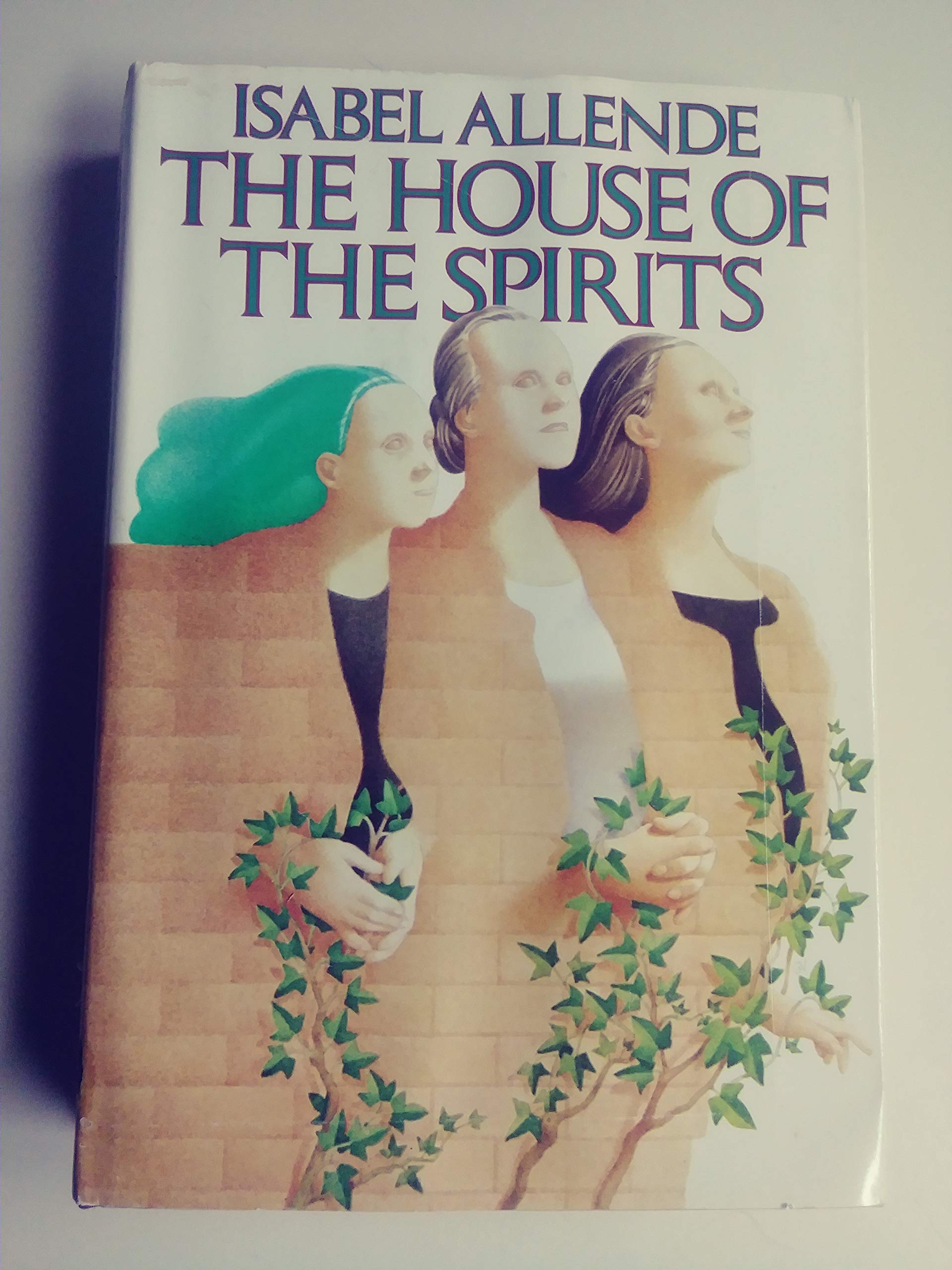 The House of the Spirits used book depot