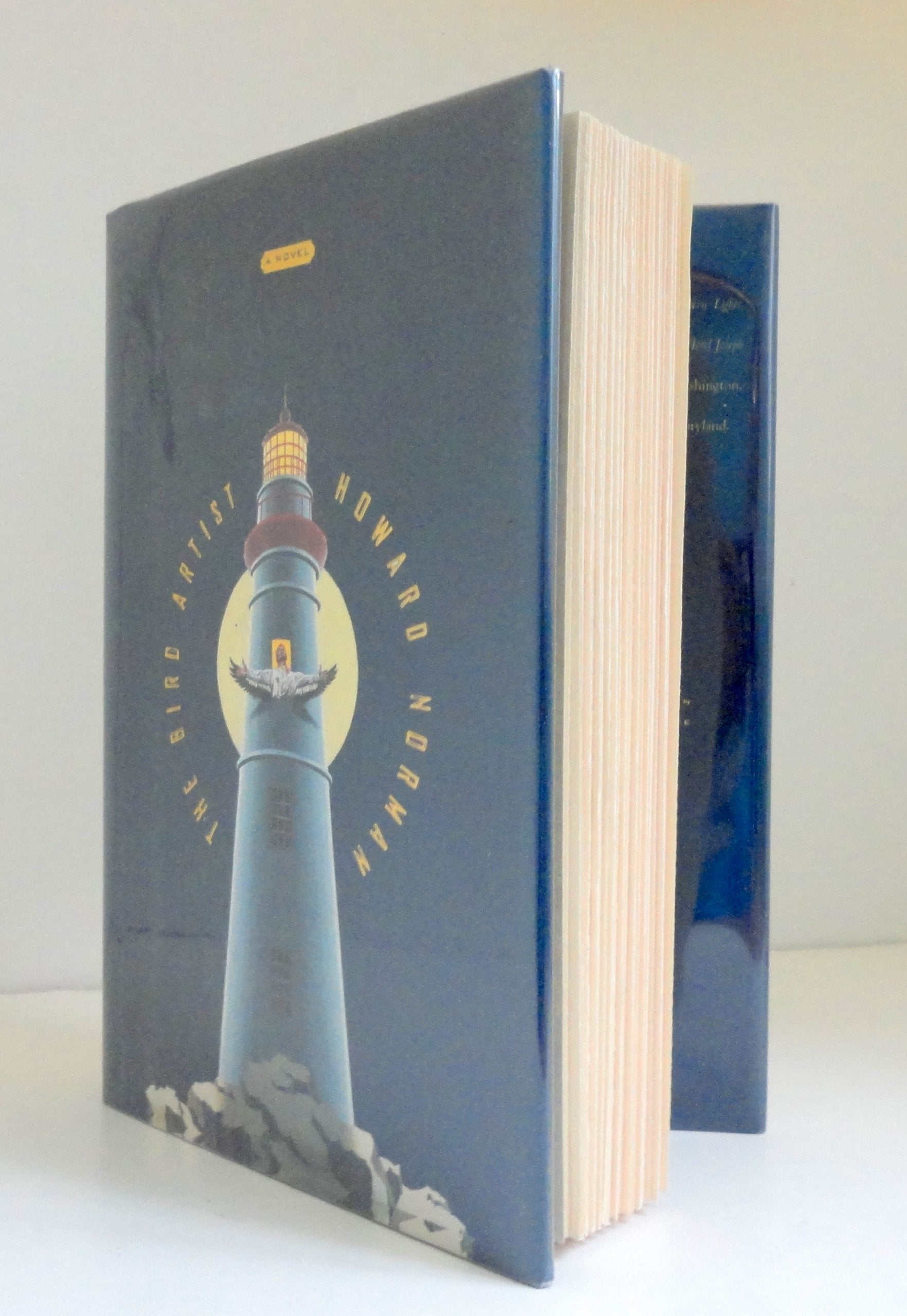 The Bird Artist: A Novel used book depot