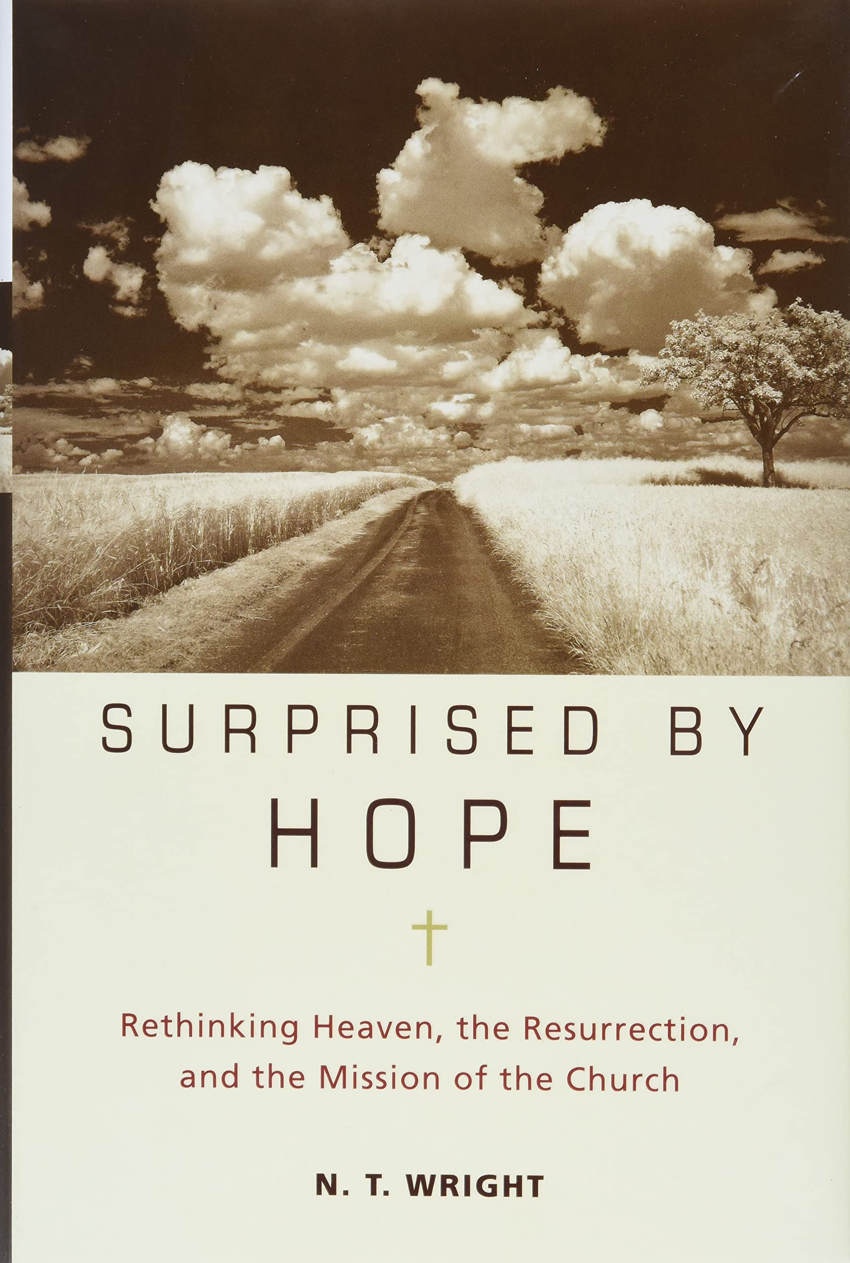 Surprised by Hope: Rethinking Heaven, the Resurrection, and the Mission of the Church used book depot