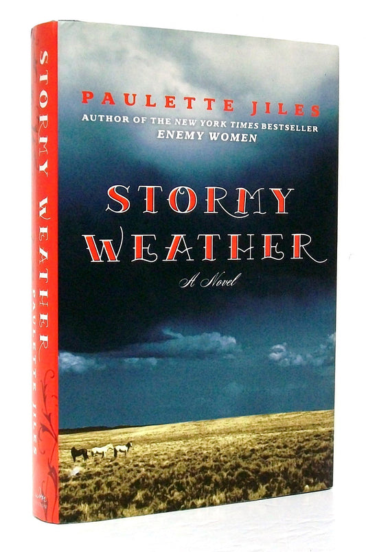 Stormy Weather: A Novel