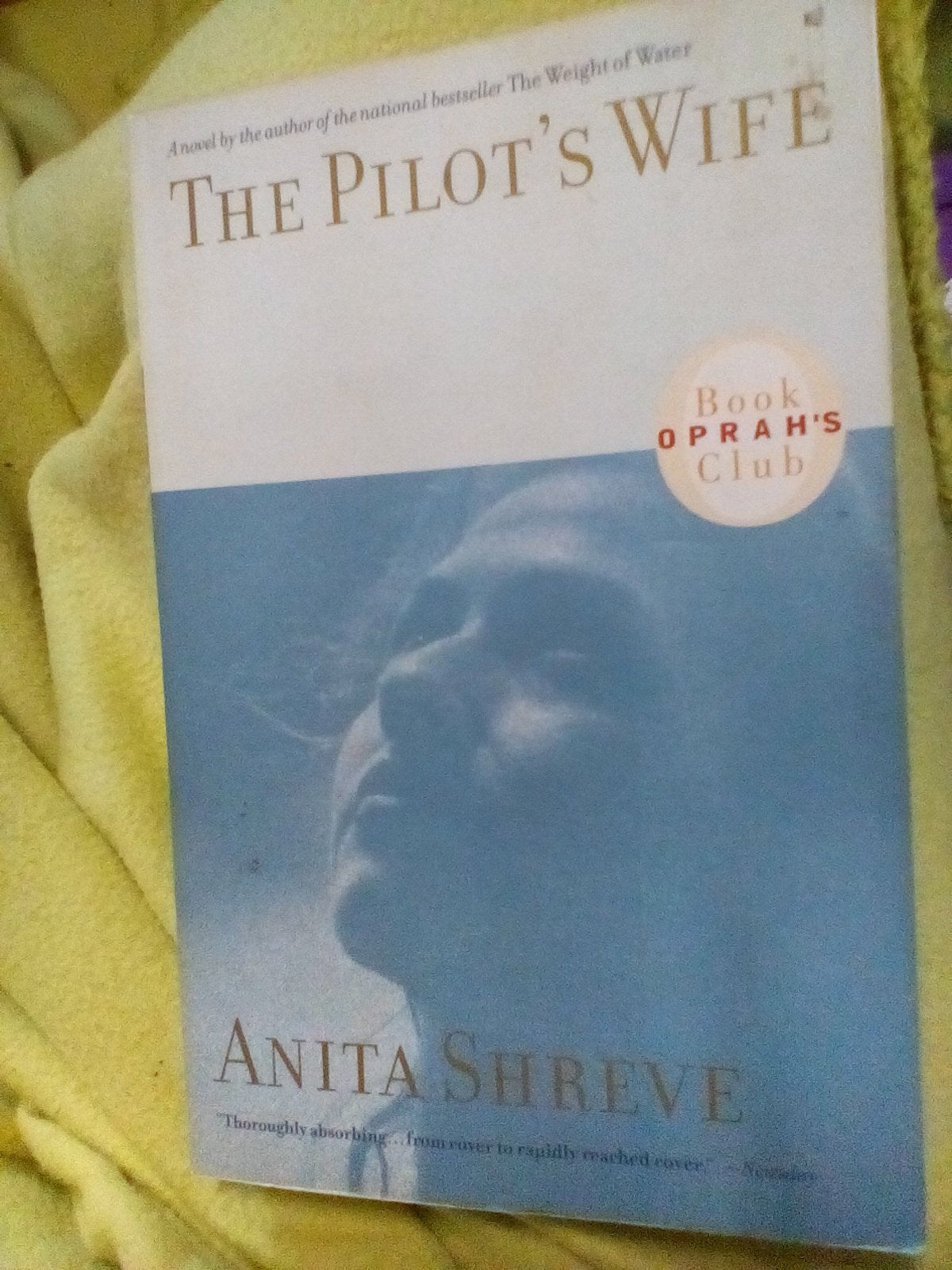 The Pilot's Wife: A Novel used book depot
