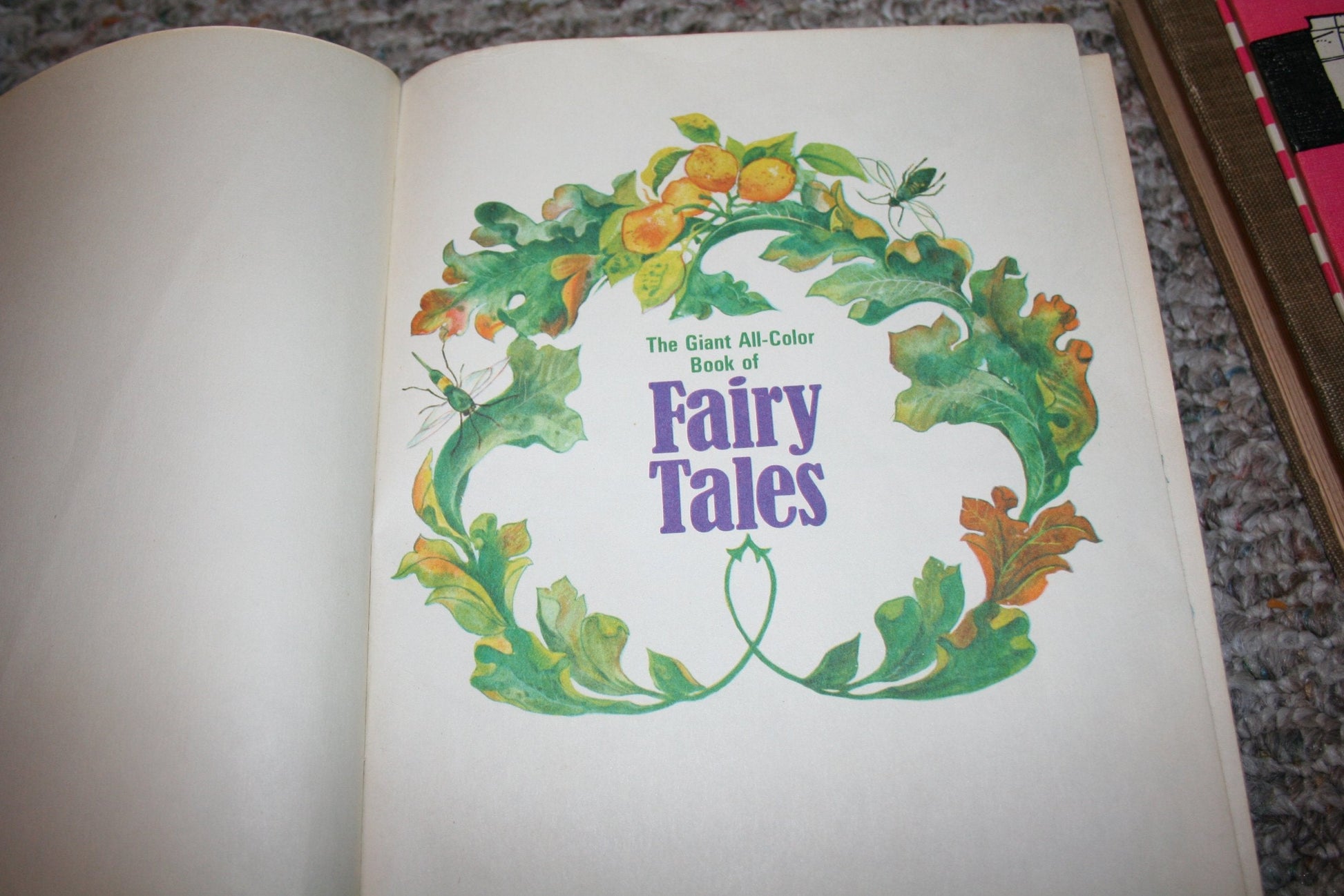 The Giant All-Color Book of Fairy Tales used book depot