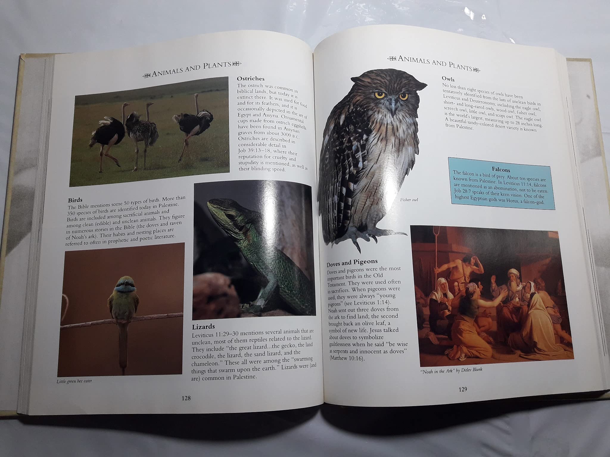 Fascinating Bible Facts used book depot