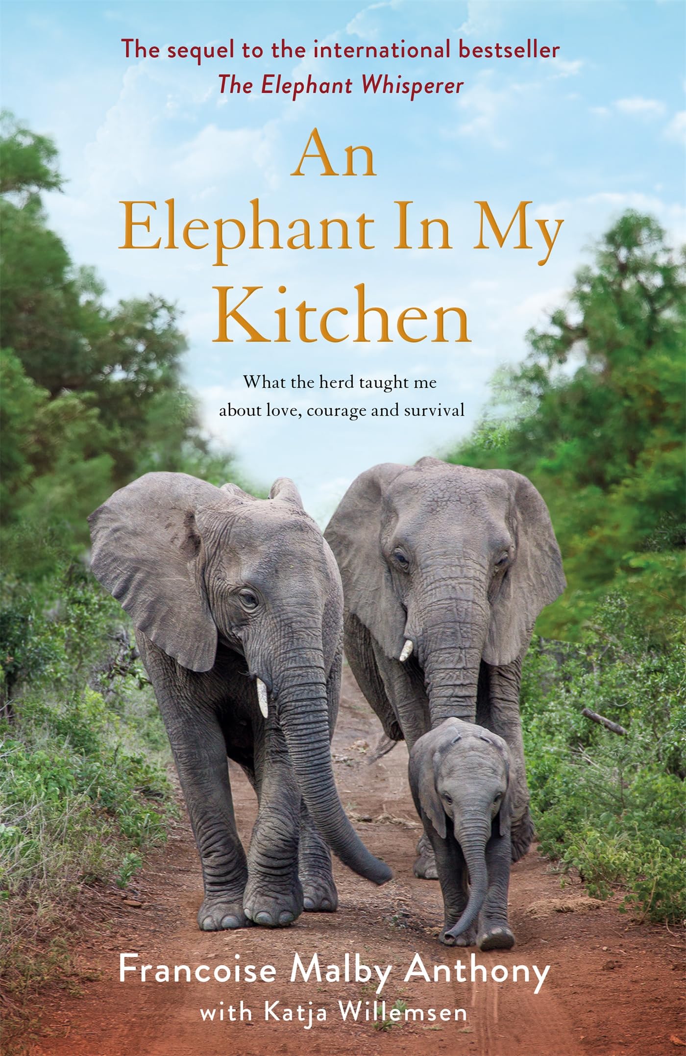 An Elephant in My Kitchen used book depot