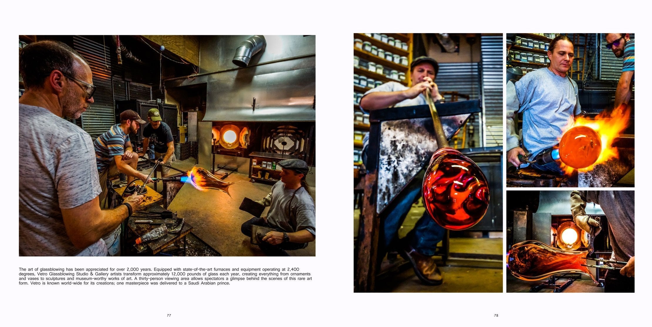 Grapevine: A Visual Journey Through a Beloved Texas Town used book depot