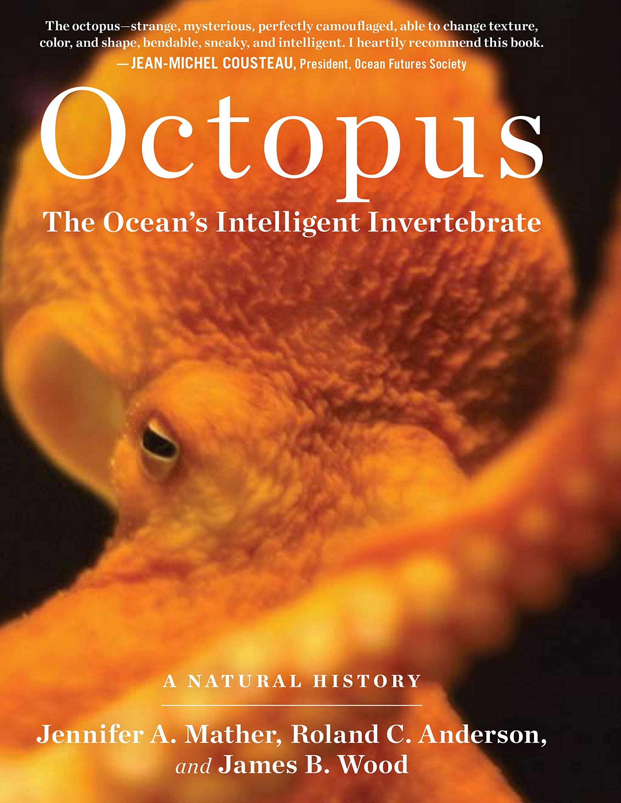 Octopus: The Ocean's Intelligent Invertebrate book cover featuring a vibrant octopus.