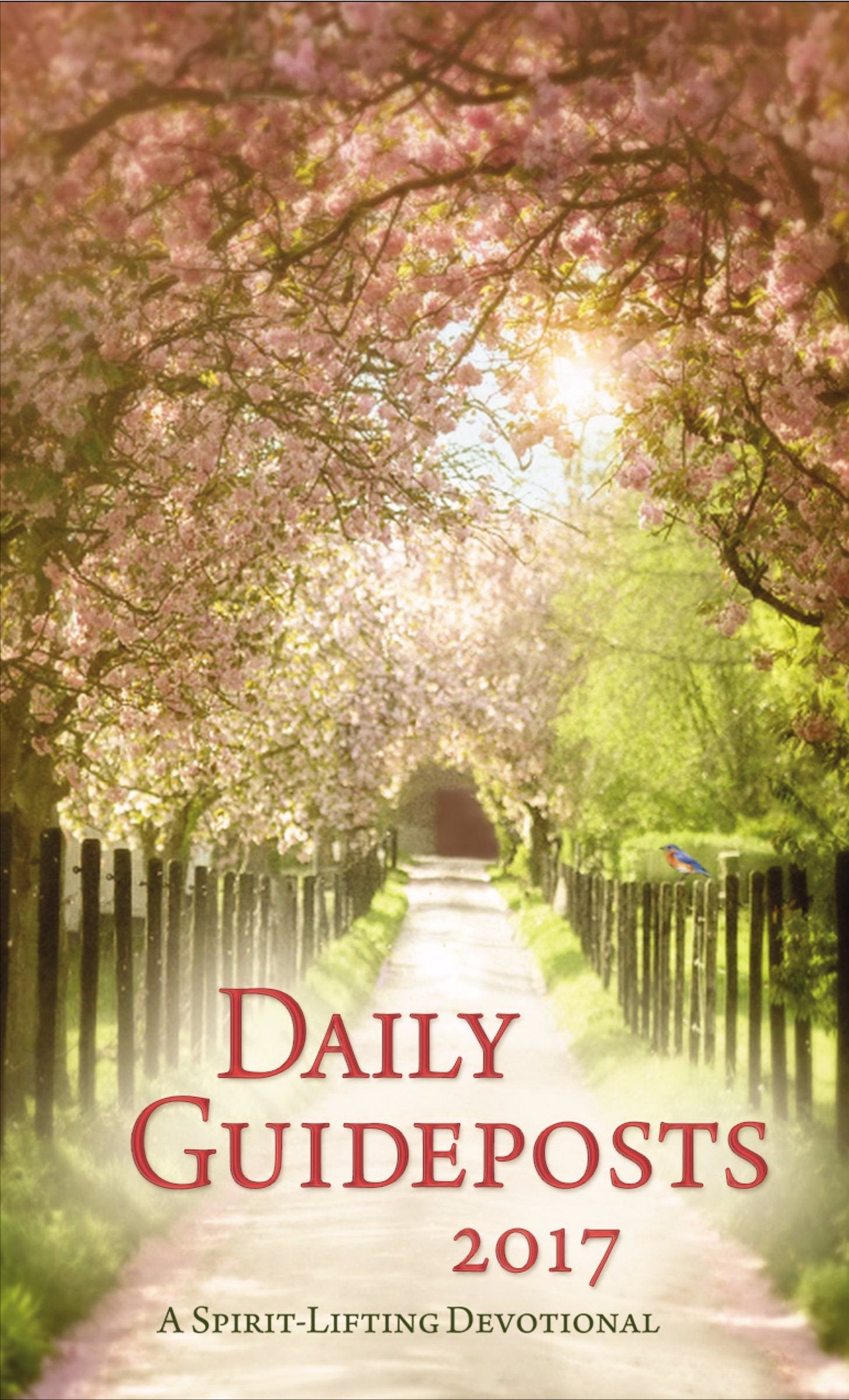 Daily Guideposts 2017: A Spirit-Lifting Devotional used book depot