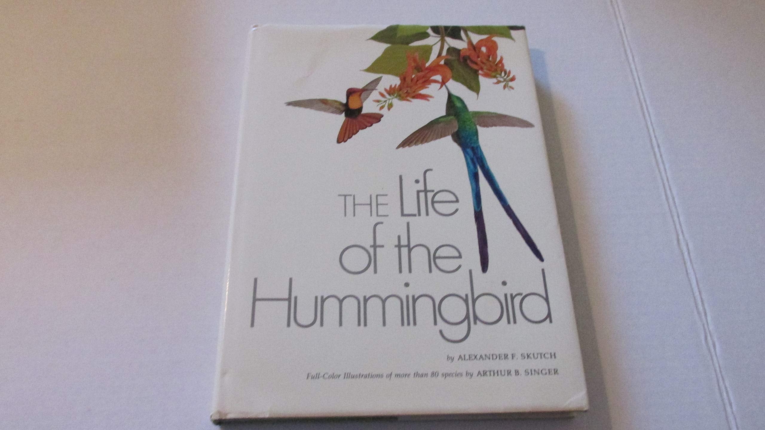 The Life of The Hummingbird used book depot