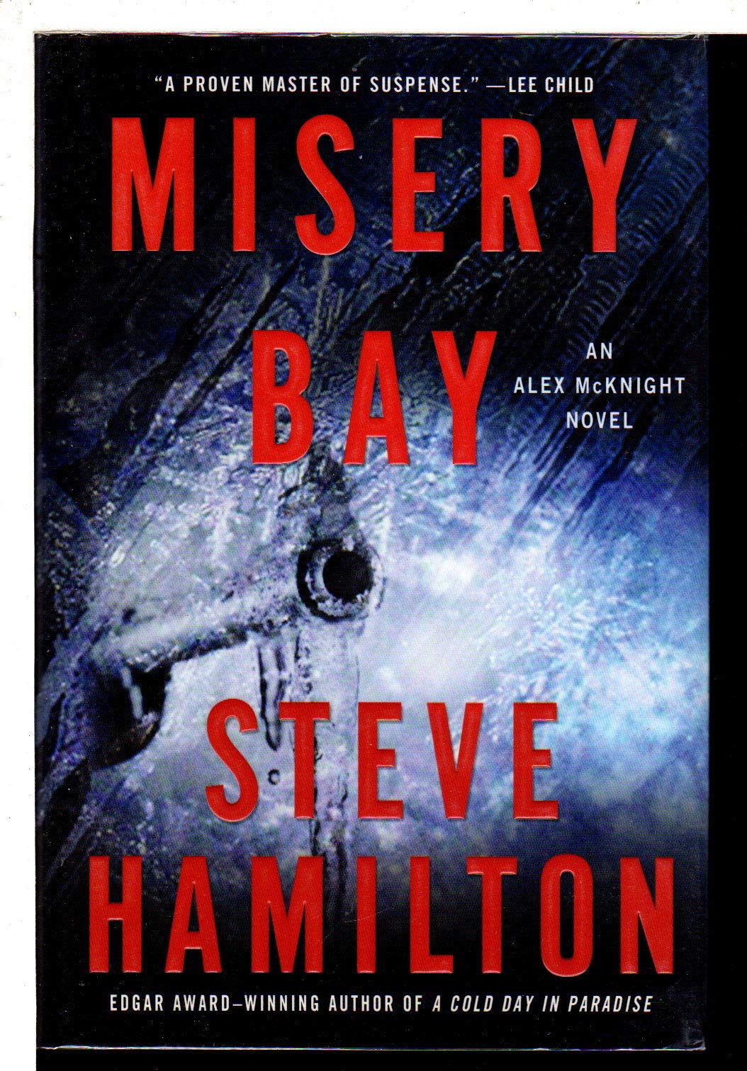 Misery Bay: An Alex McKnight Novel (Alex McKnight Novels) used book depot