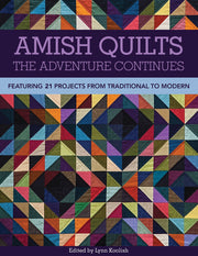 Amish Quilts―The Adventure Continues: Featuring 21 Projects from Traditional to Modern book cover with colorful quilt design.