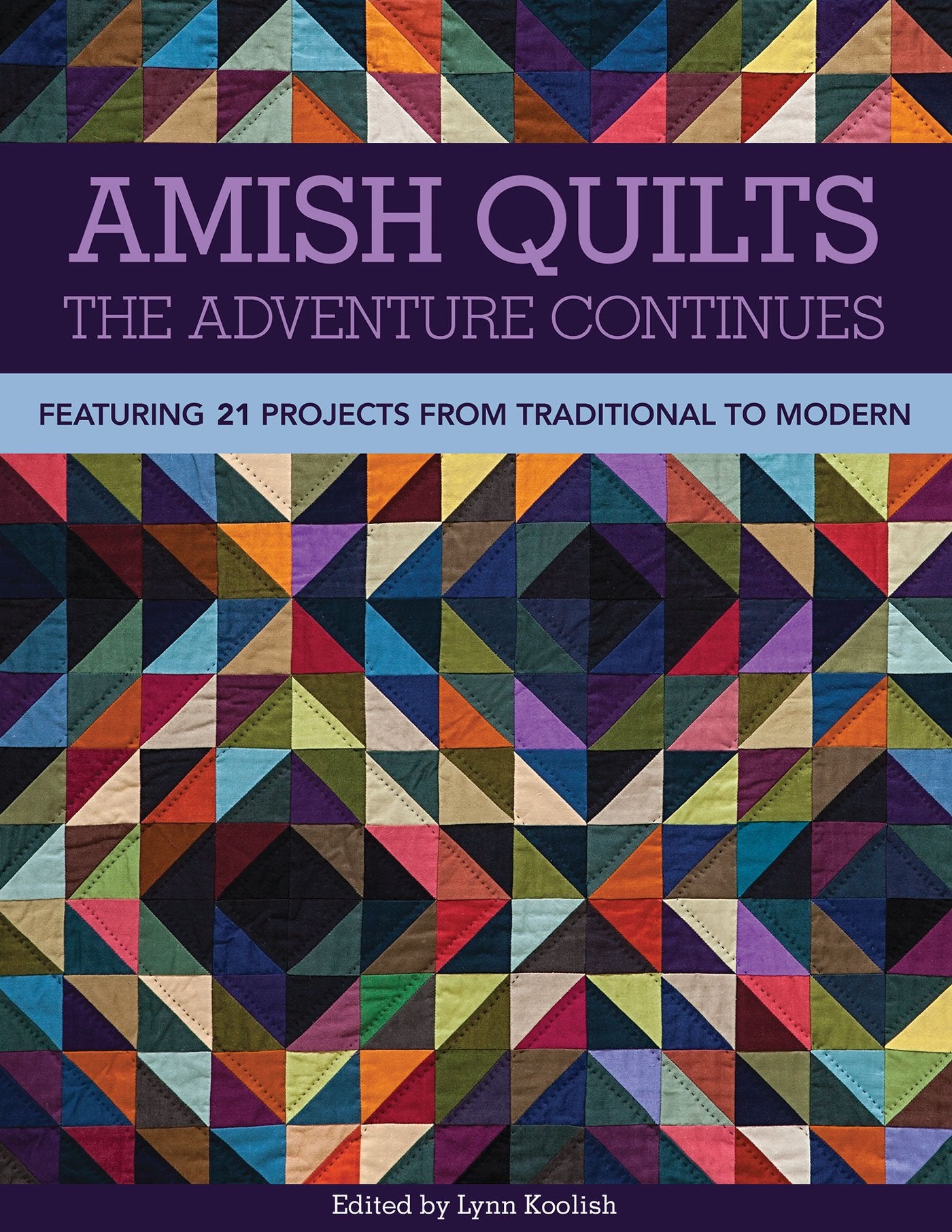 Amish Quilts―The Adventure Continues: Featuring 21 Projects from Traditional to Modern book cover with colorful quilt design.