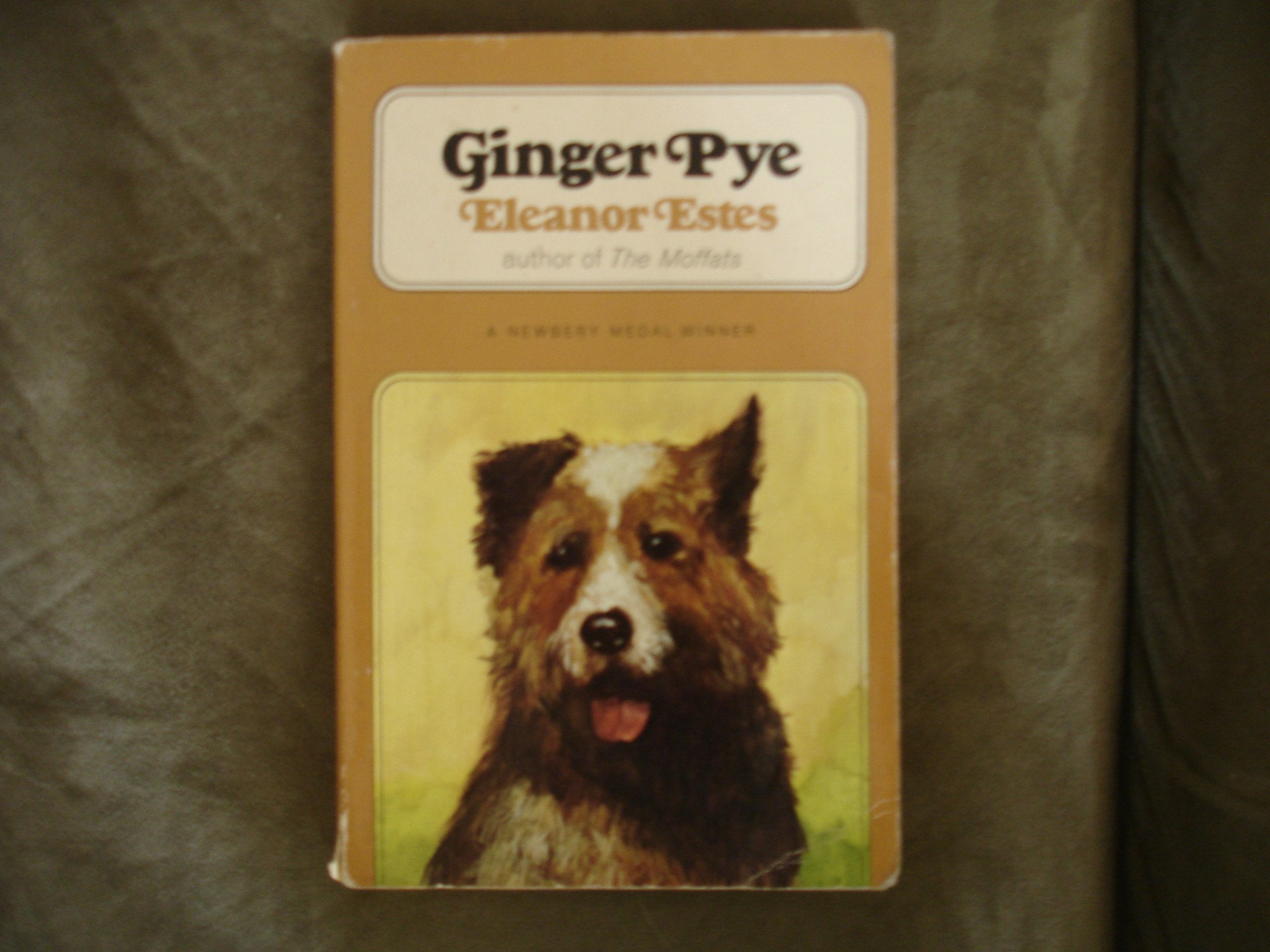 Ginger Pye used book depot