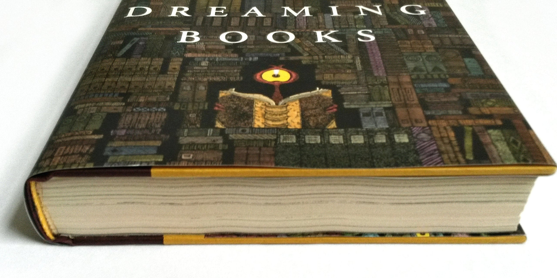 City of Dreaming Books (Zamonia) (Volume 3) used book depot