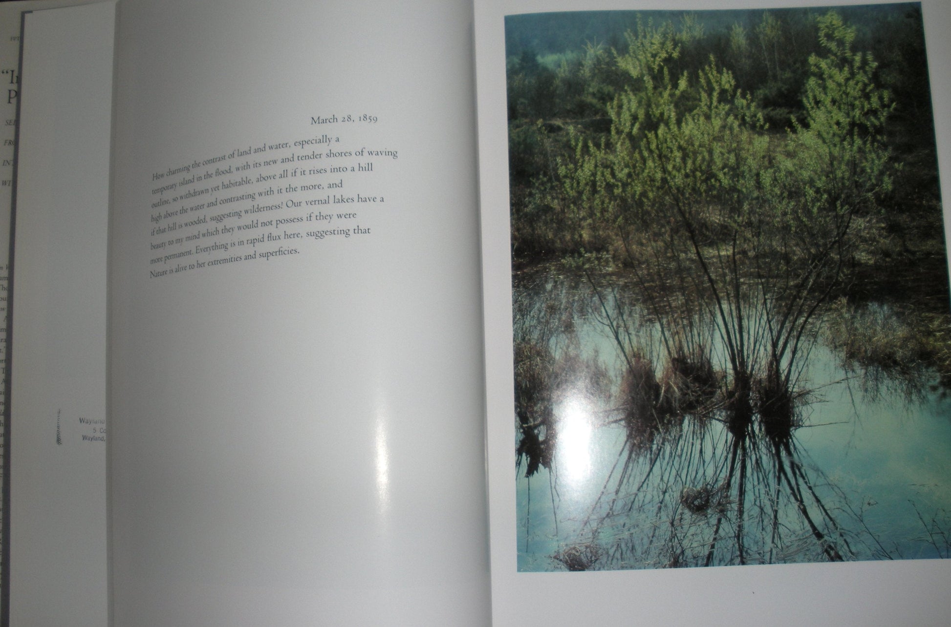 In Wildness is the Preservation of the World used book depot