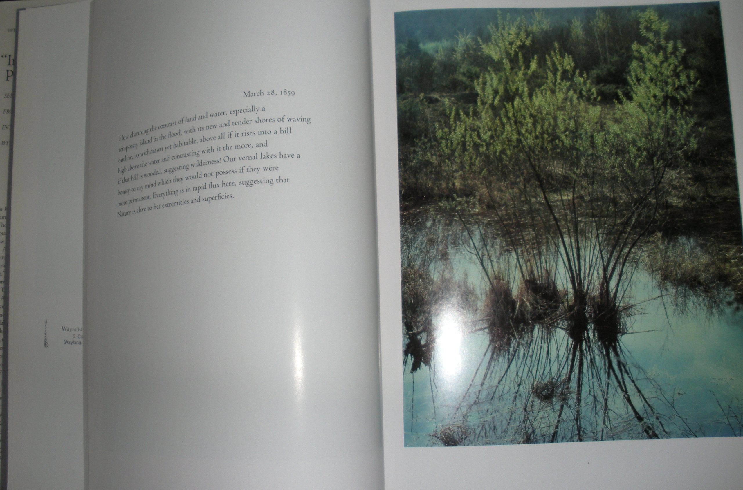 In Wildness is the Preservation of the World used book depot