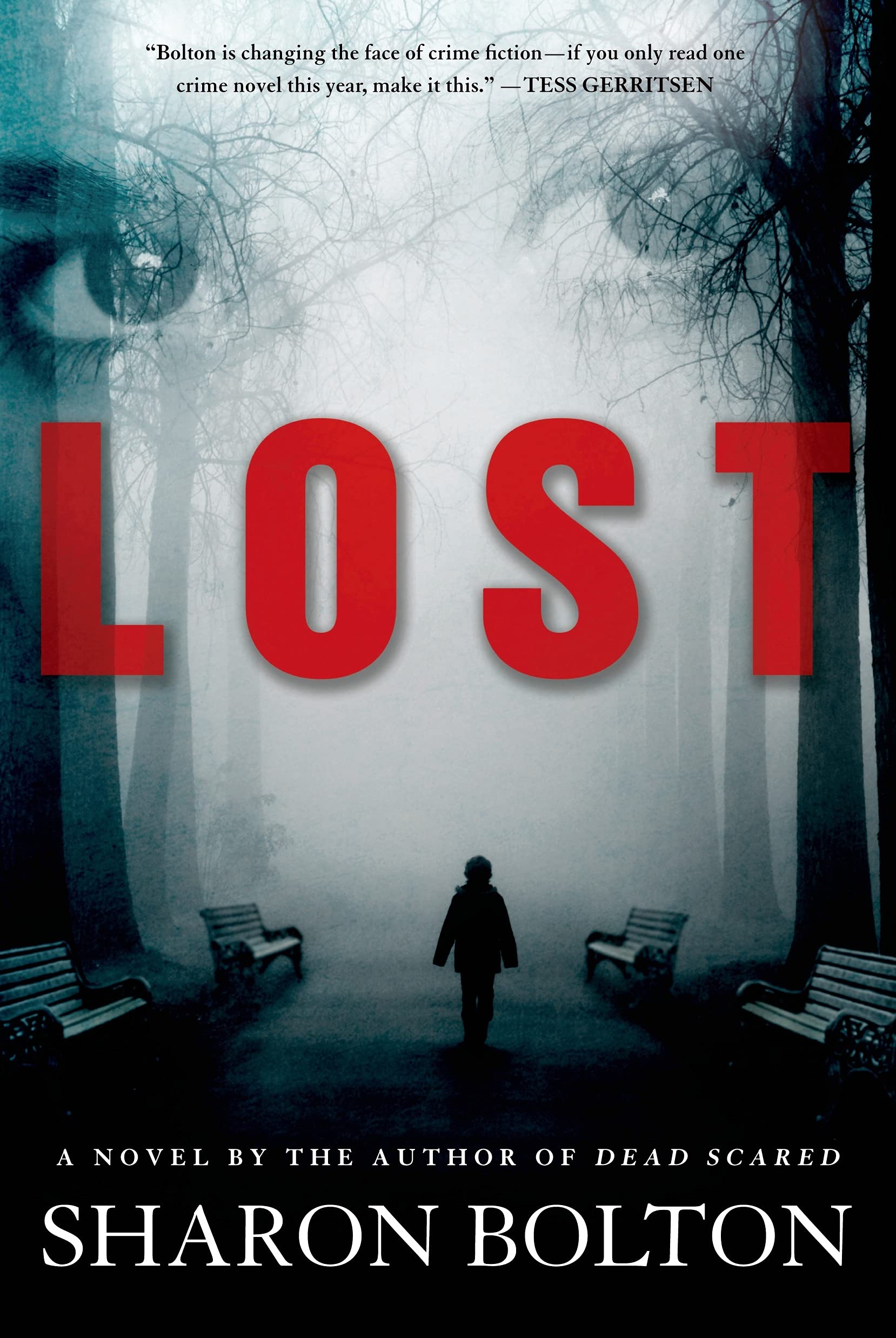 Lost: A Lacey Flint Novel (Lacey Flint Novels, 3) used book depot
