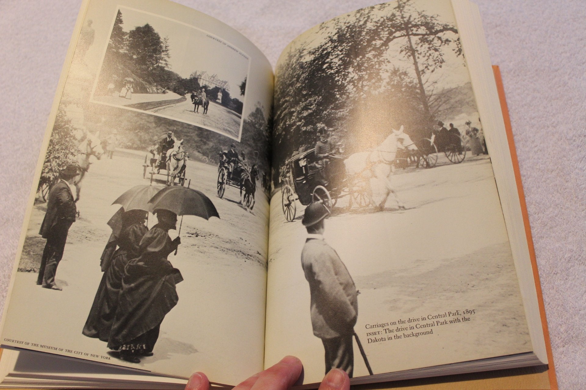Life at the Dakota: New York's Most Unusual Address used book depot