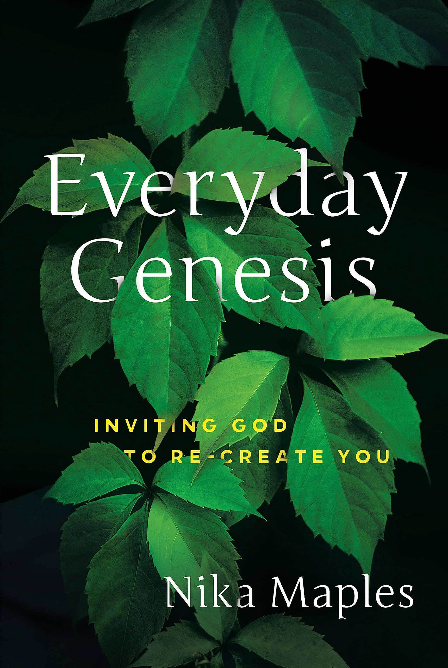 Everyday Genesis: Inviting God to Re-Create You used book depot
