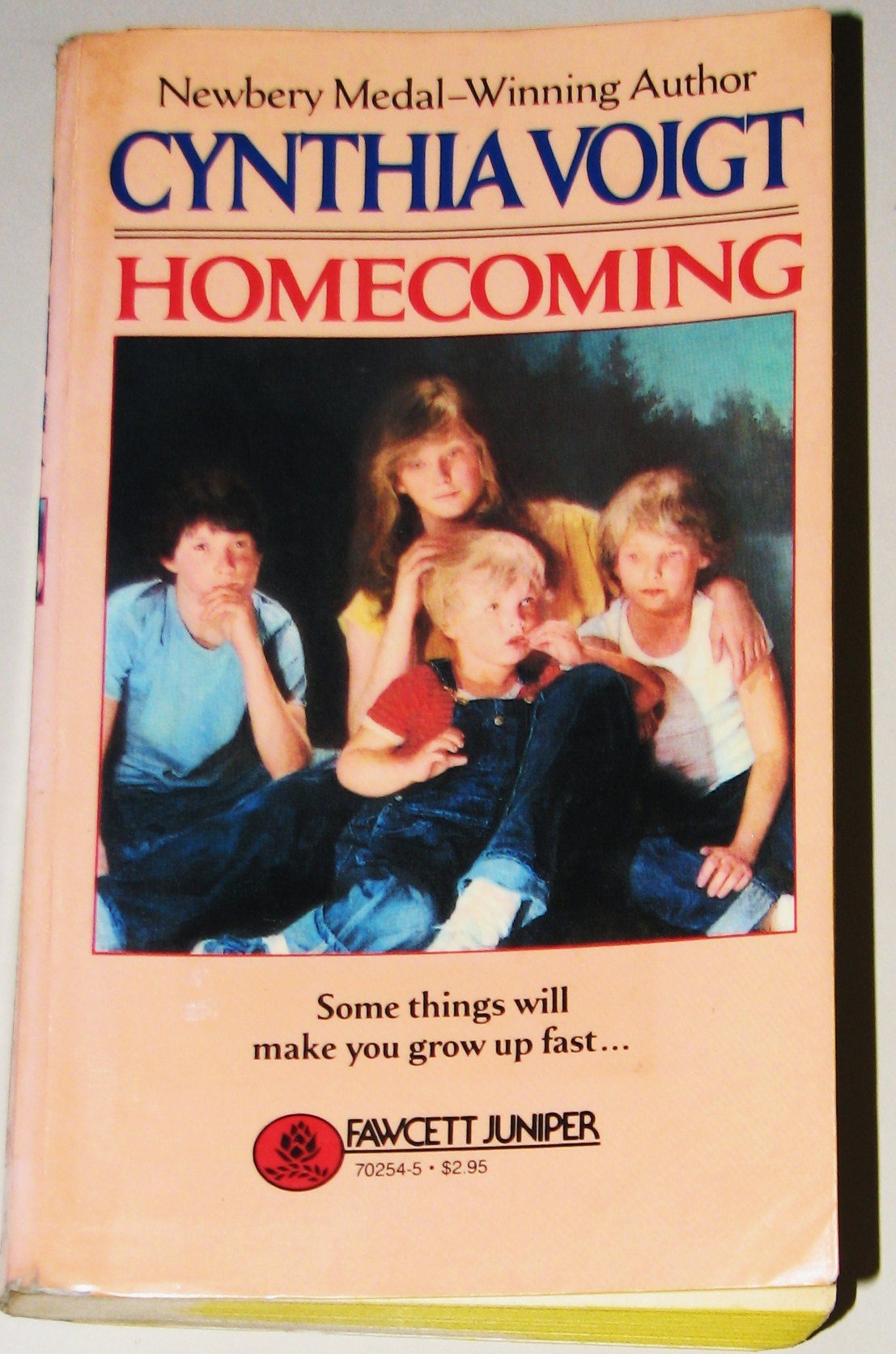 Homecoming used book depot