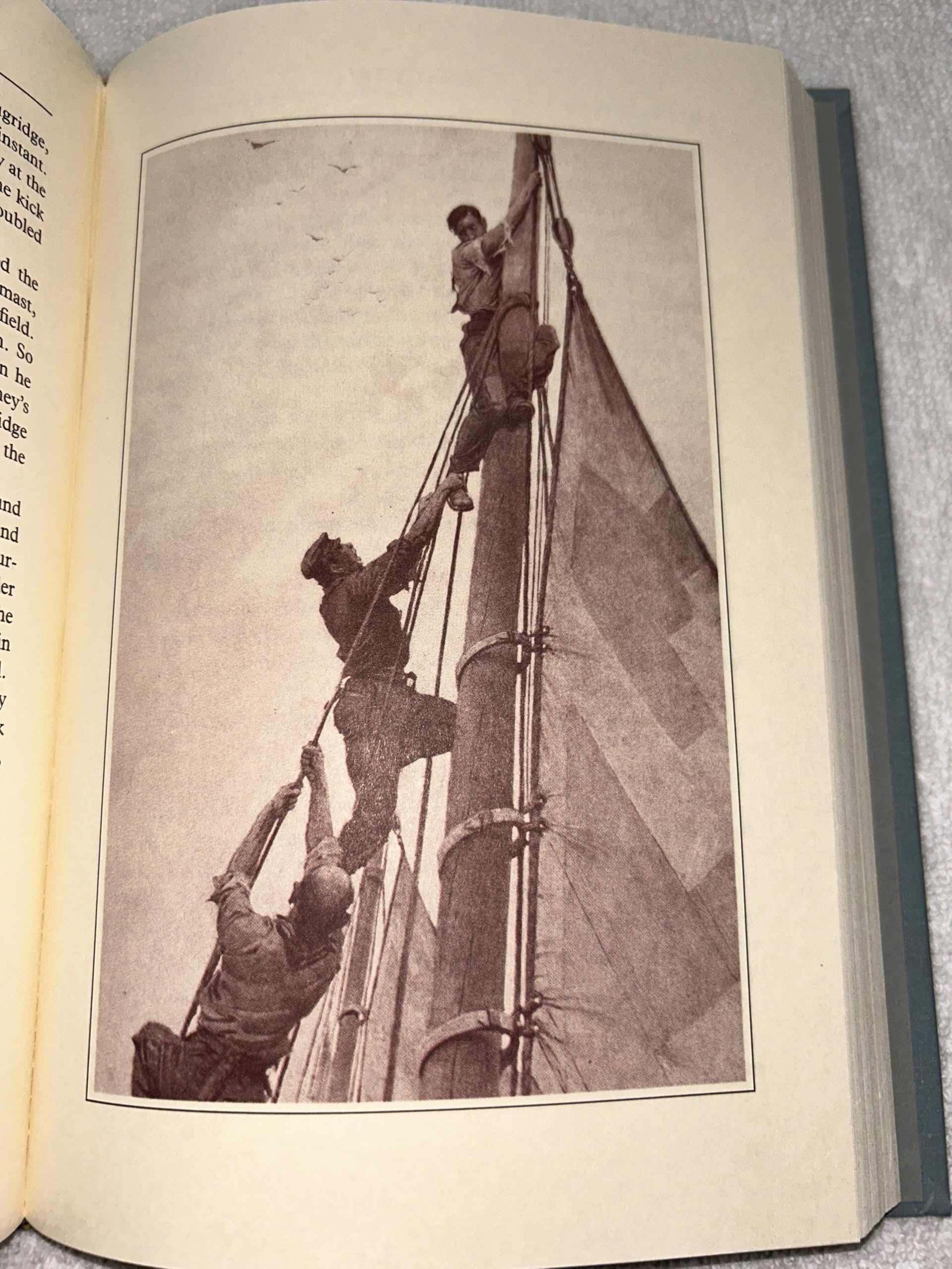 The Sea Wolf used book depot