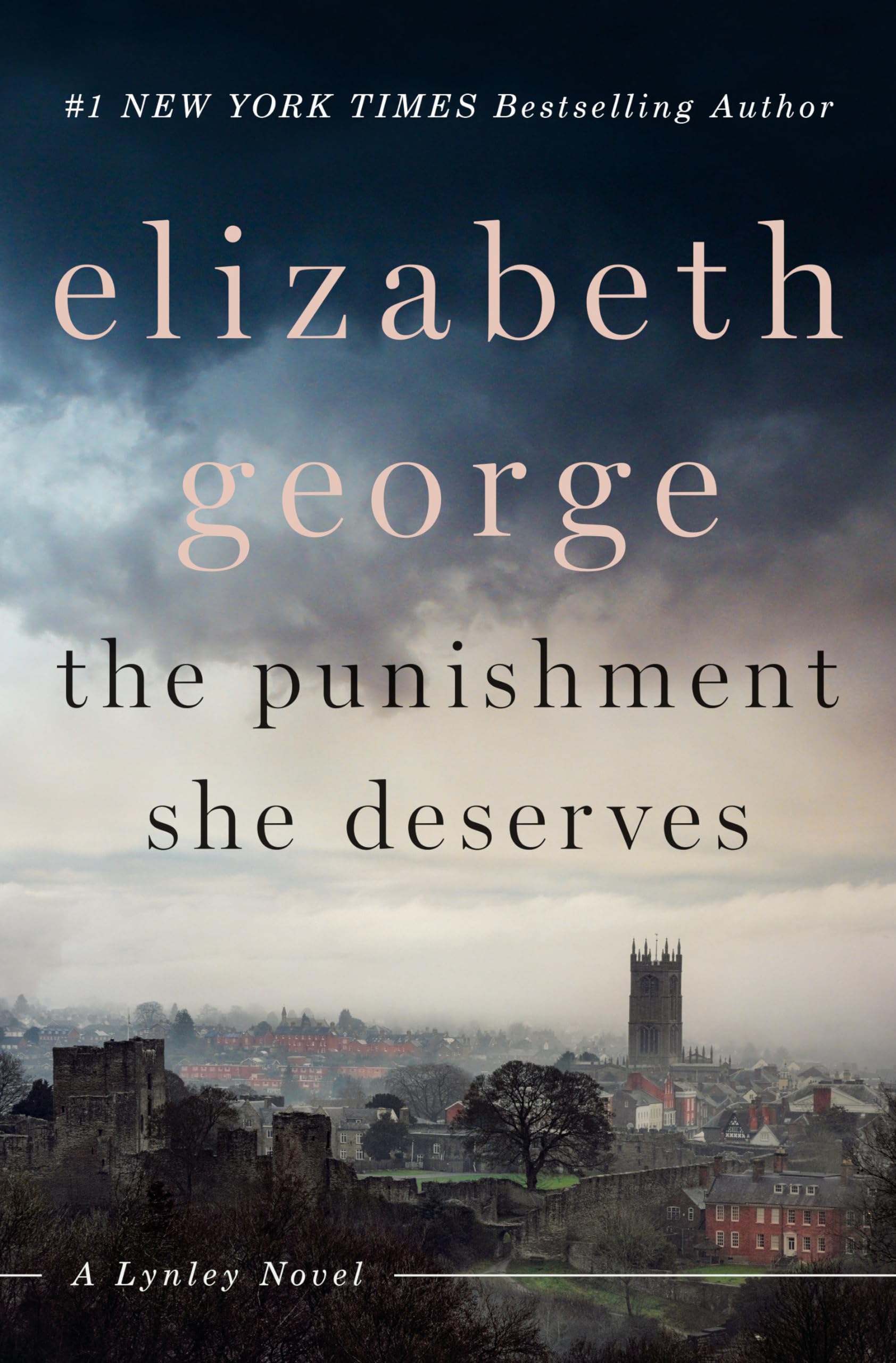 The Punishment She Deserves: A Lynley Novel used book depot