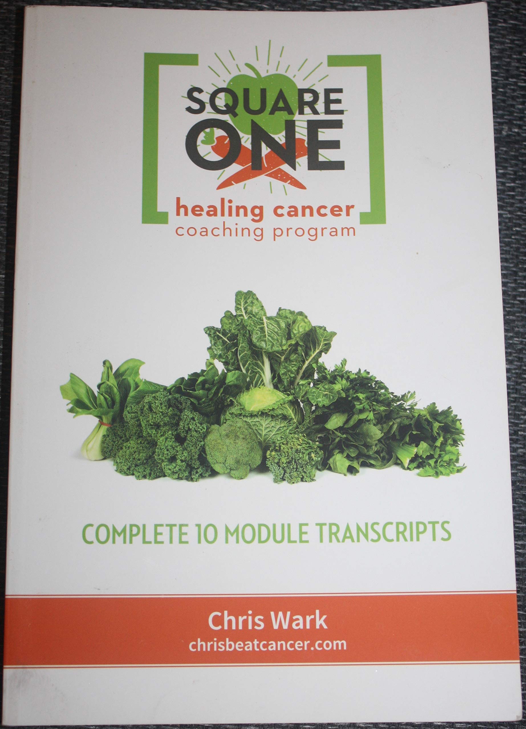 Square One Healing Cancer Coaching Program - Complete Transcripts used book depot