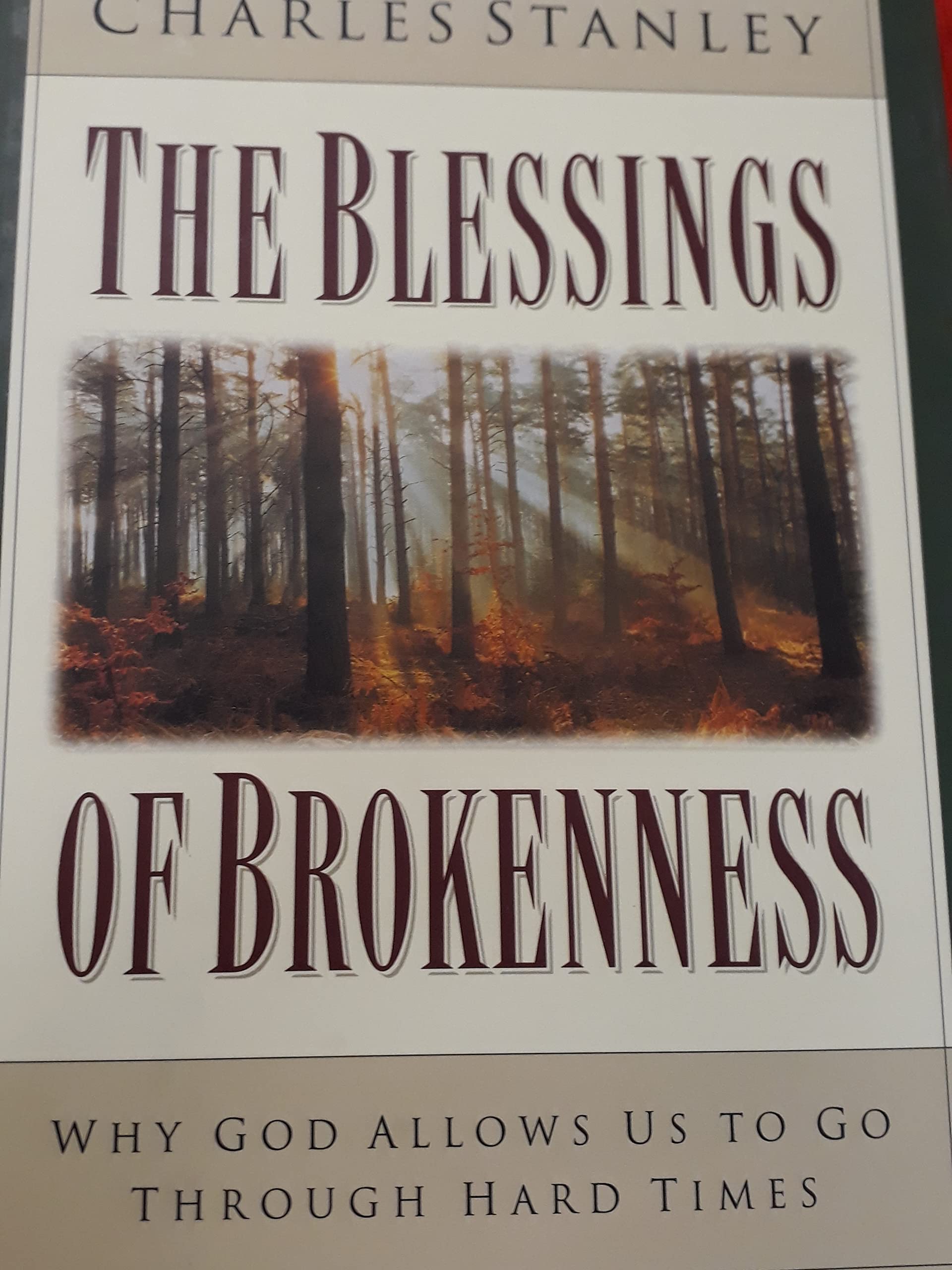 The Blessings of Brokenness: Why God Allows Us to Go Through Hard Times used book depot