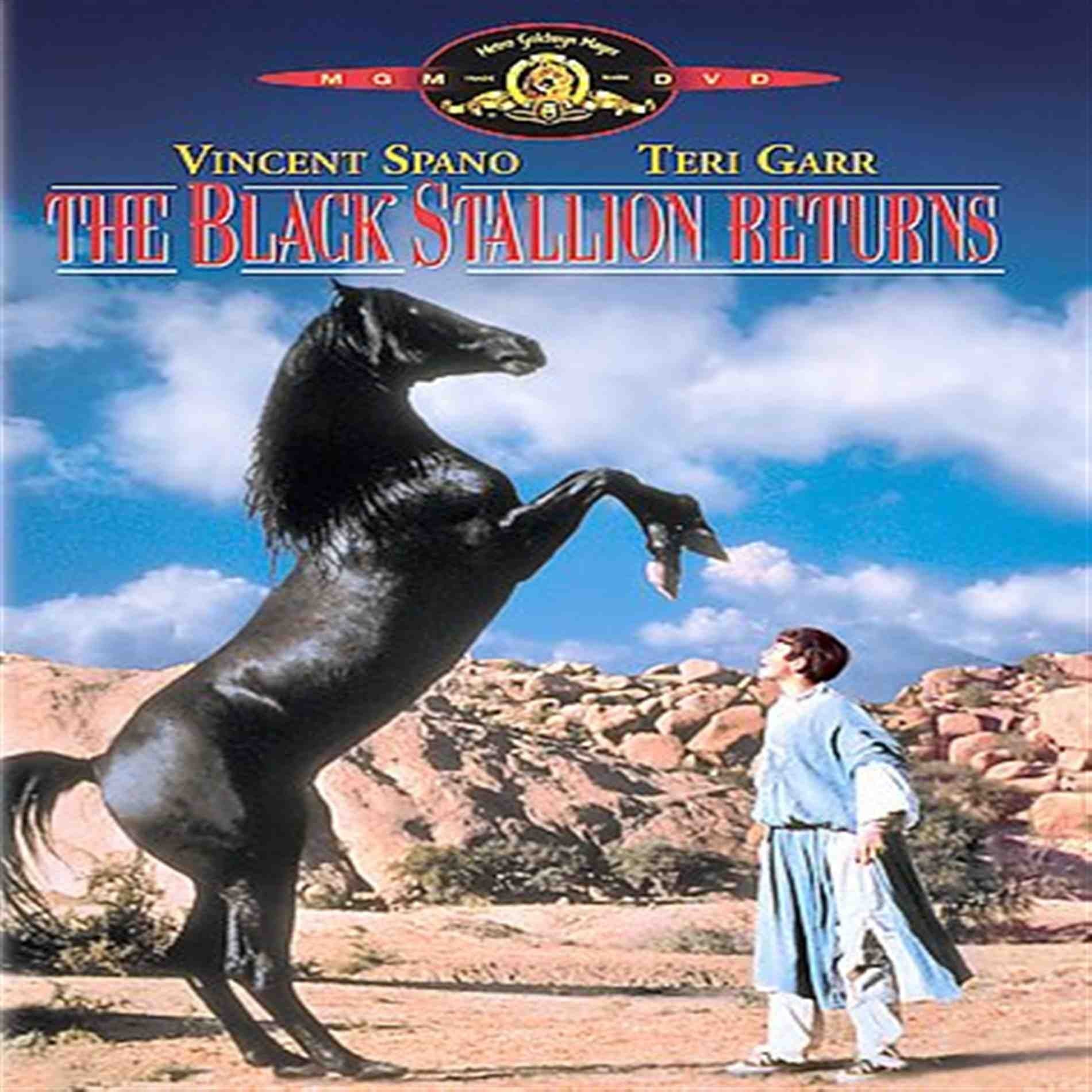 The Black Stallion Returns used book depot