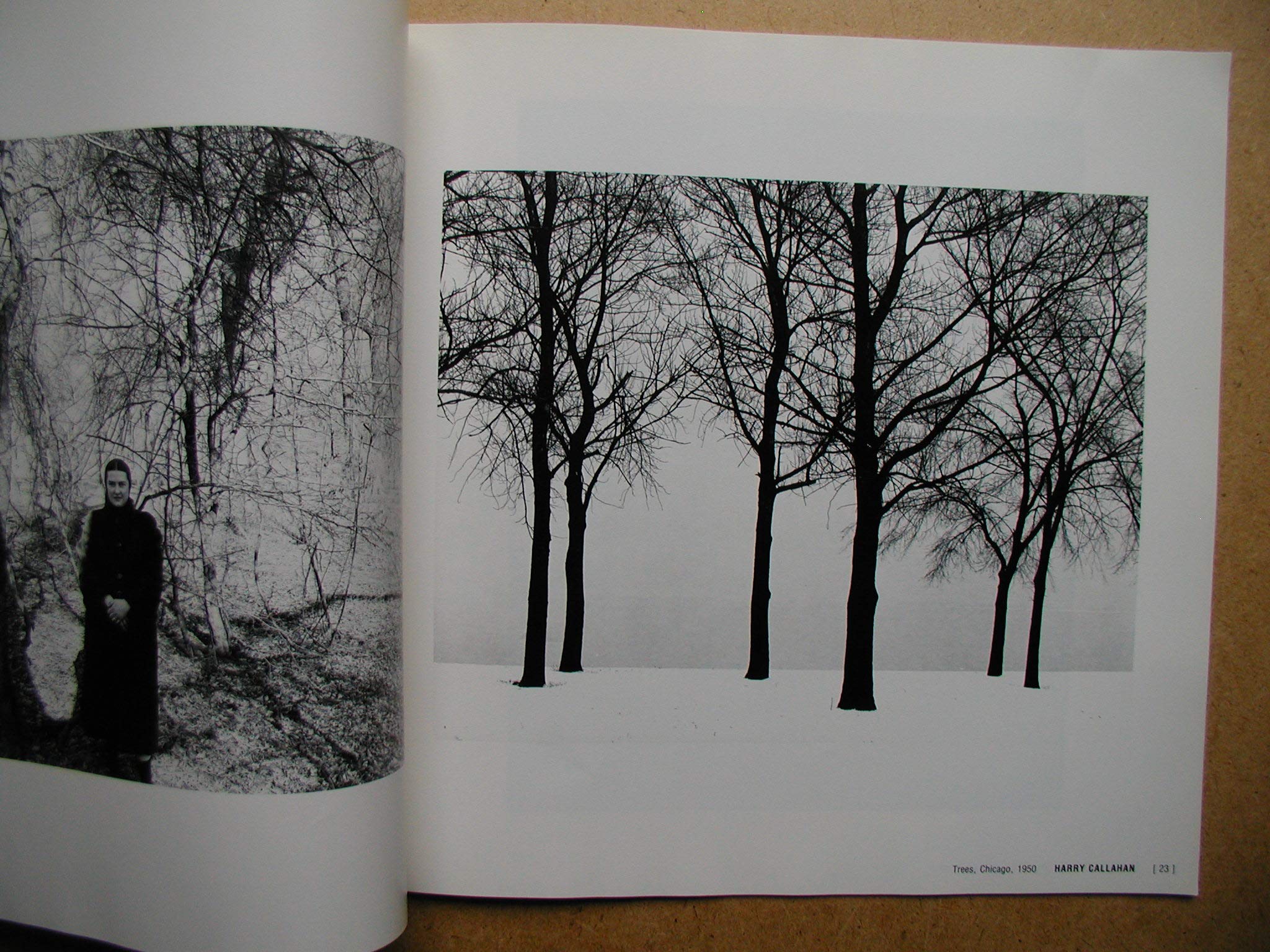 The Contact print, 1946-1982 (Untitled)