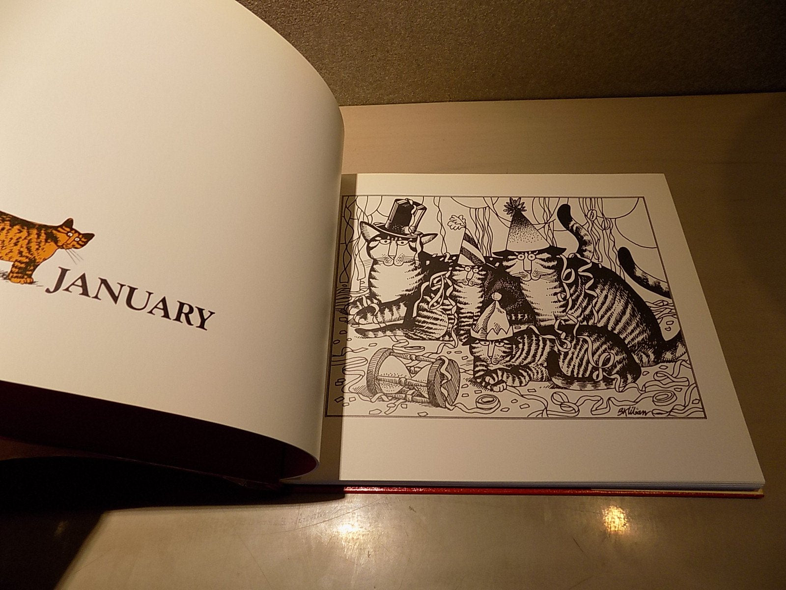 Catcalendar Cats: The Complete Collection used book depot