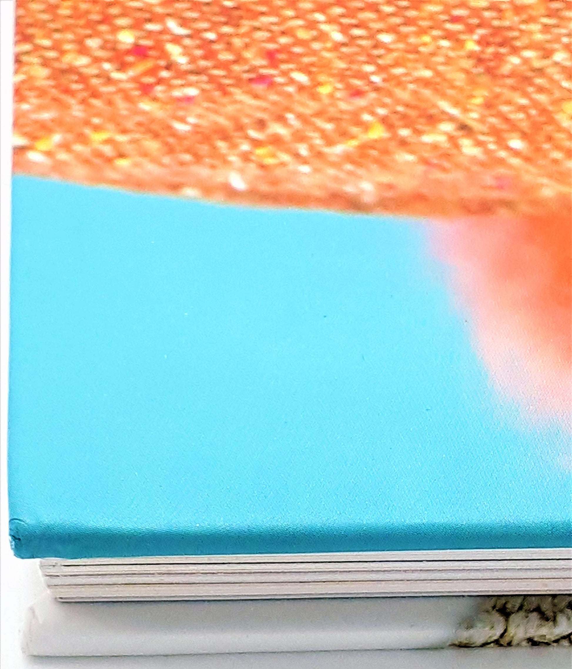 Knitting Never Felt Better: The Definitive Guide to Fabulous Felting used book depot