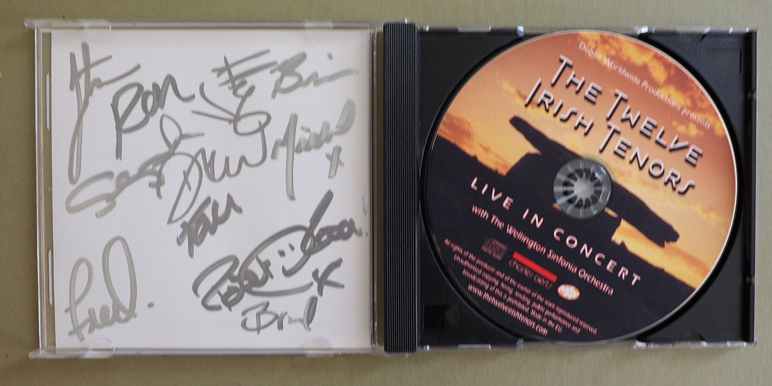 Live in Concert "the Twelve Irish Tenors"