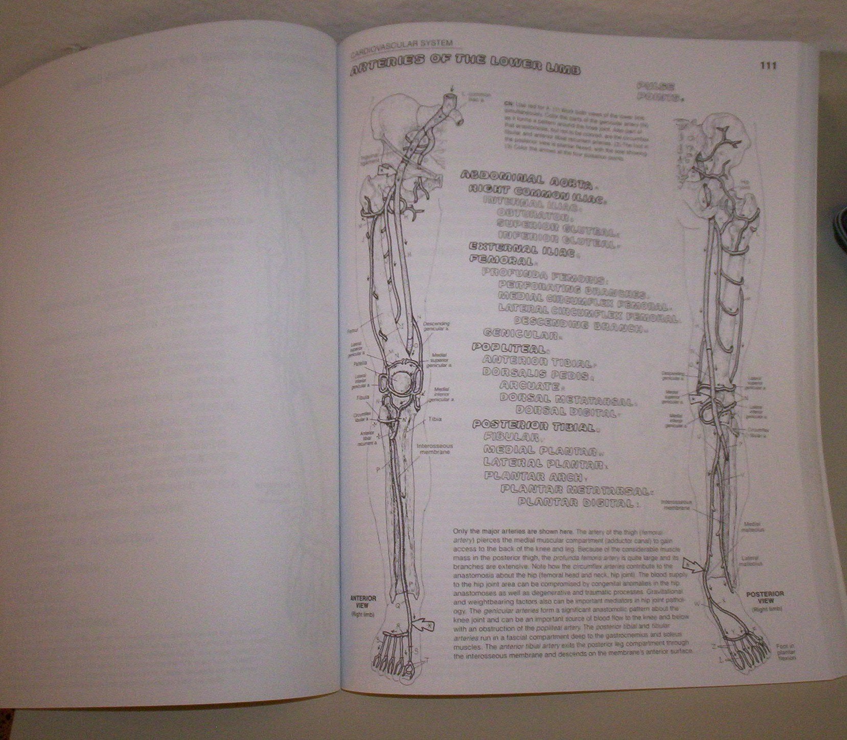 The Anatomy Coloring Book used book depot