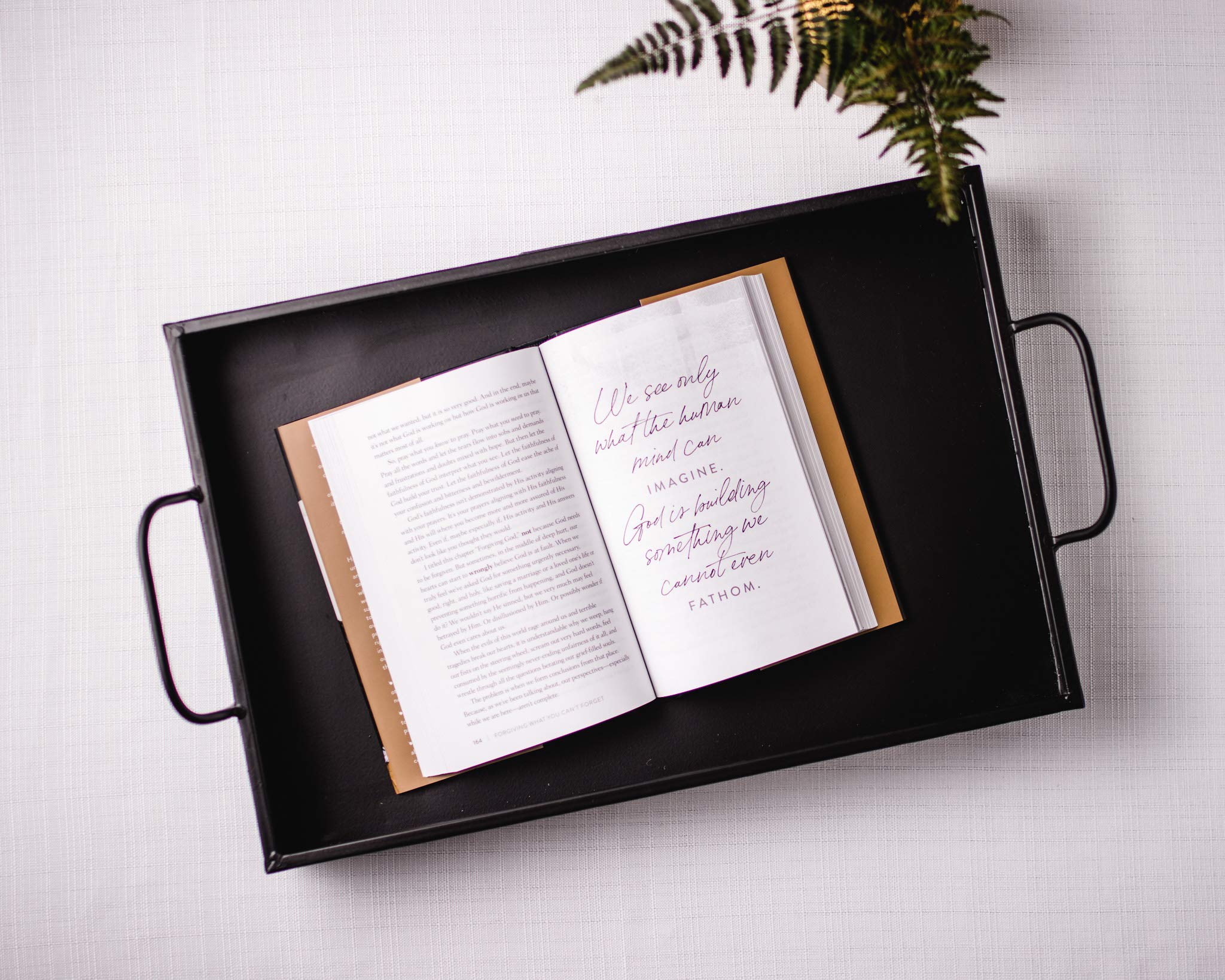 Forgiving What You Can't Forget: Discover How to Move On, Make Peace with Painful Memories, and Create a Life That’s Beautiful Again used book depot