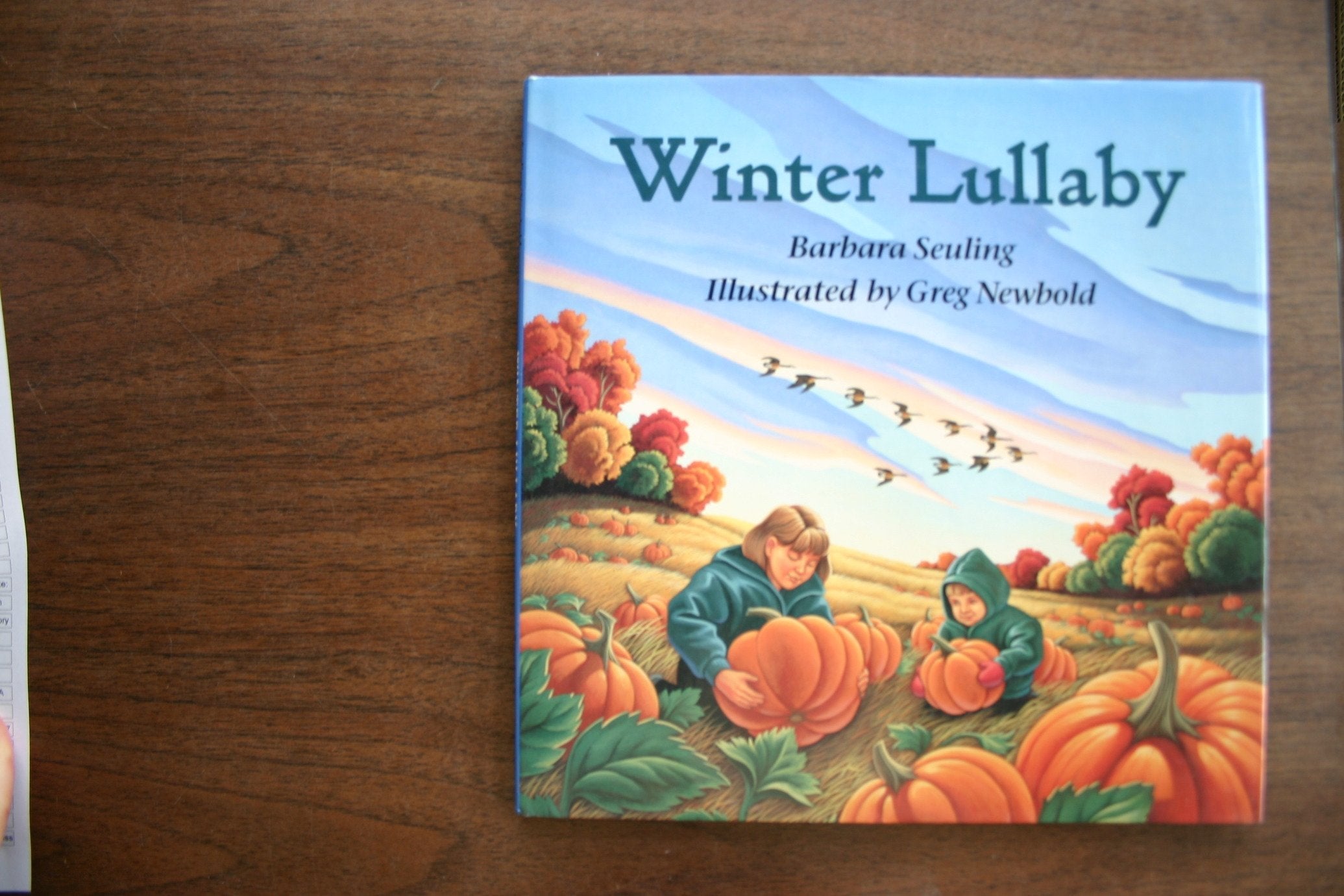 Winter Lullaby used book depot