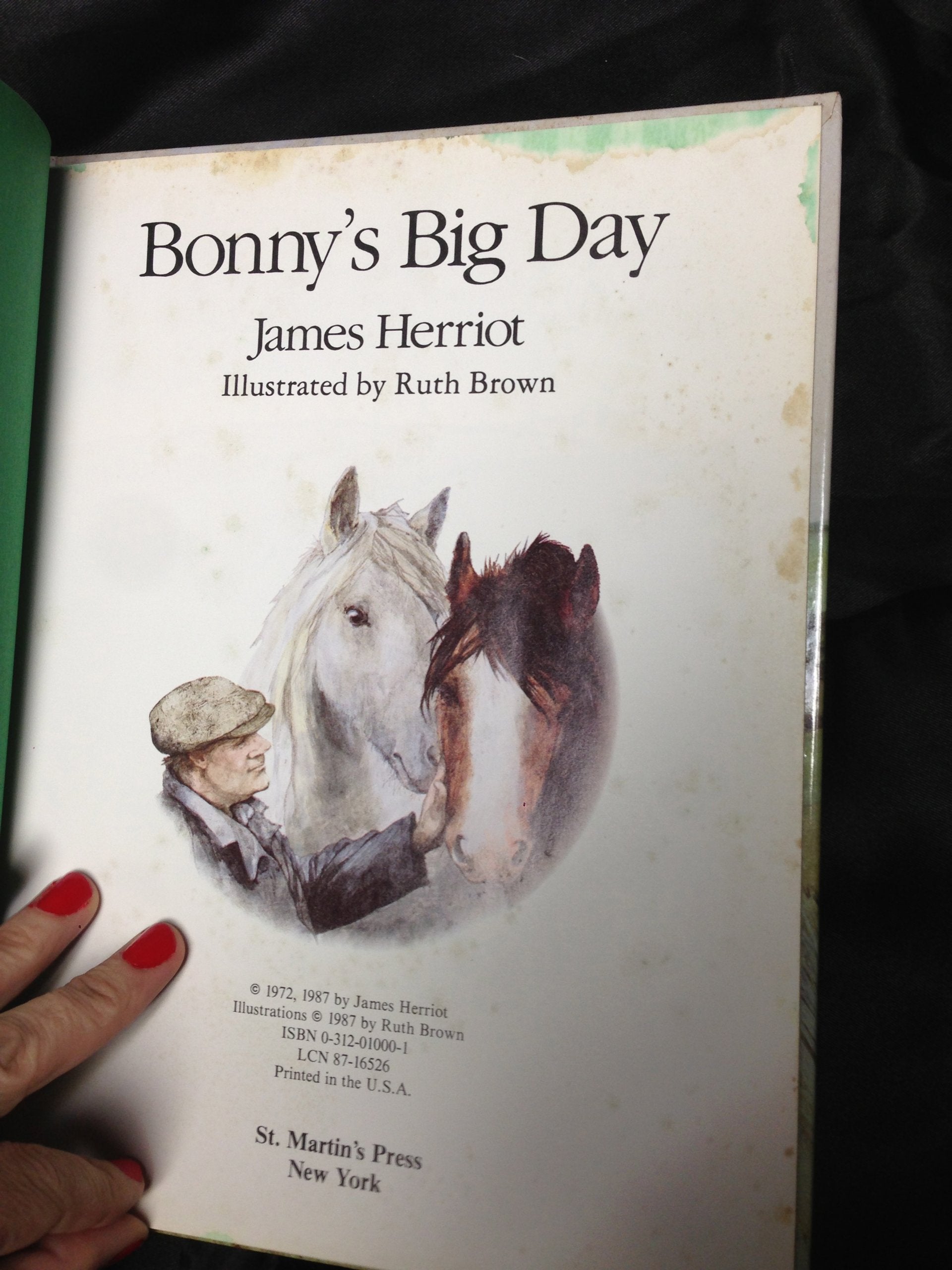 Bonny's Big Day used book depot