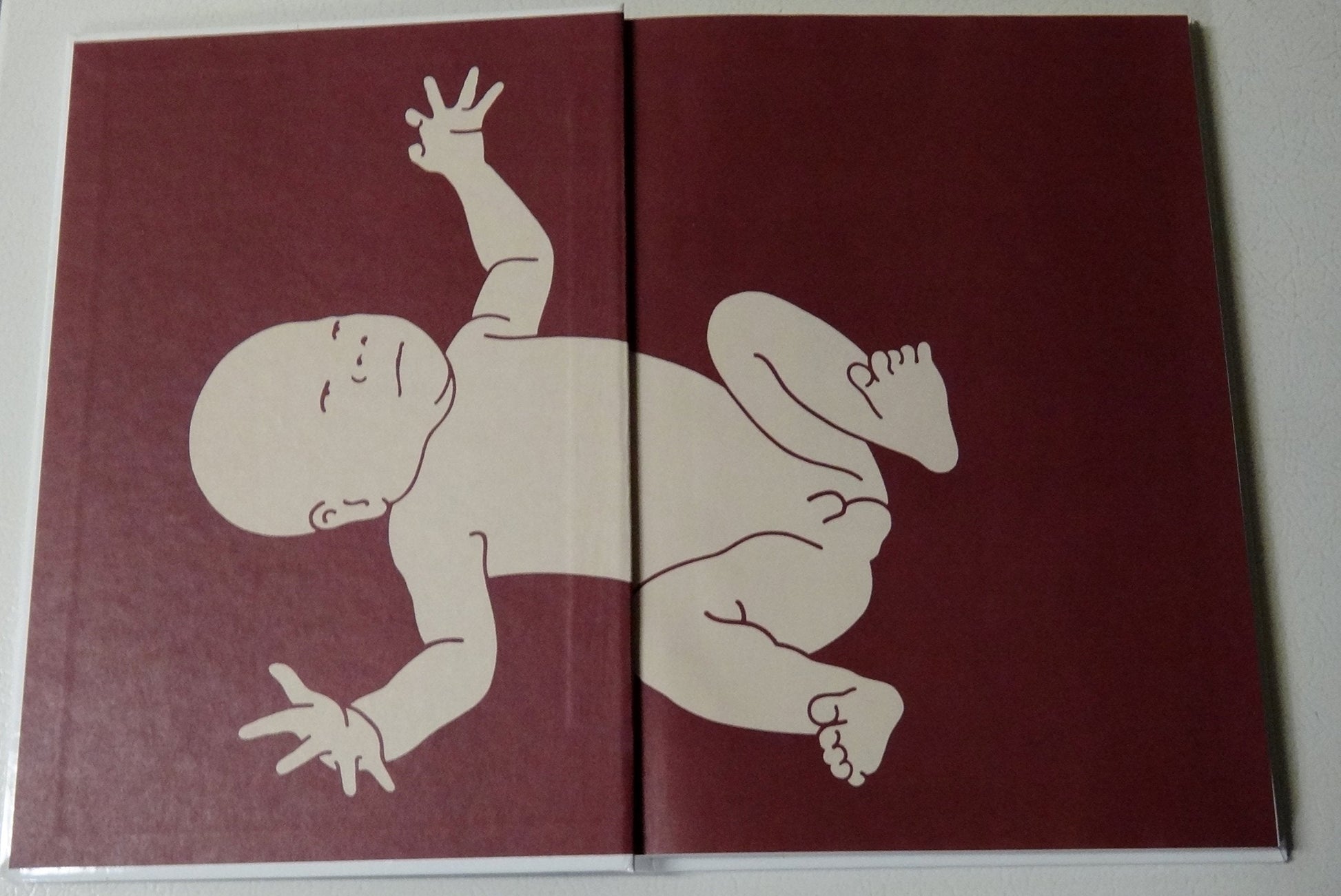 Human Body (Understanding Science and Nature) used book depot