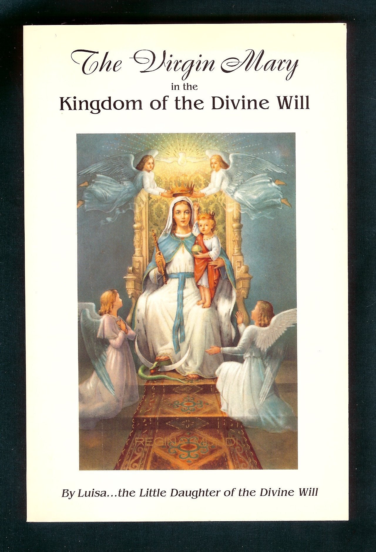 The Virgin Mary in the Kingdom of Divine Will: Book of Heaven: The Call to the Creature to Return the Order, to the Place, and to the Purpose for Which It Was Created by God used book depot
